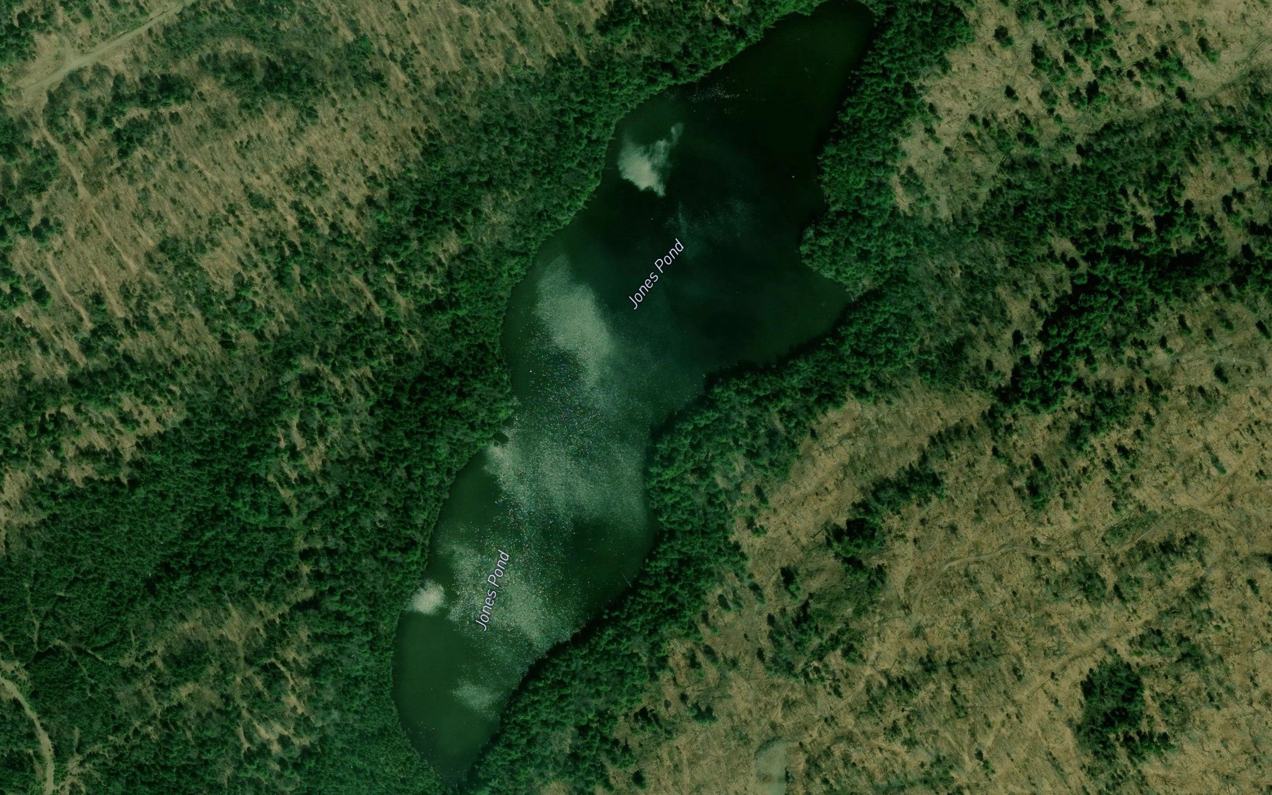 Jones Pond
