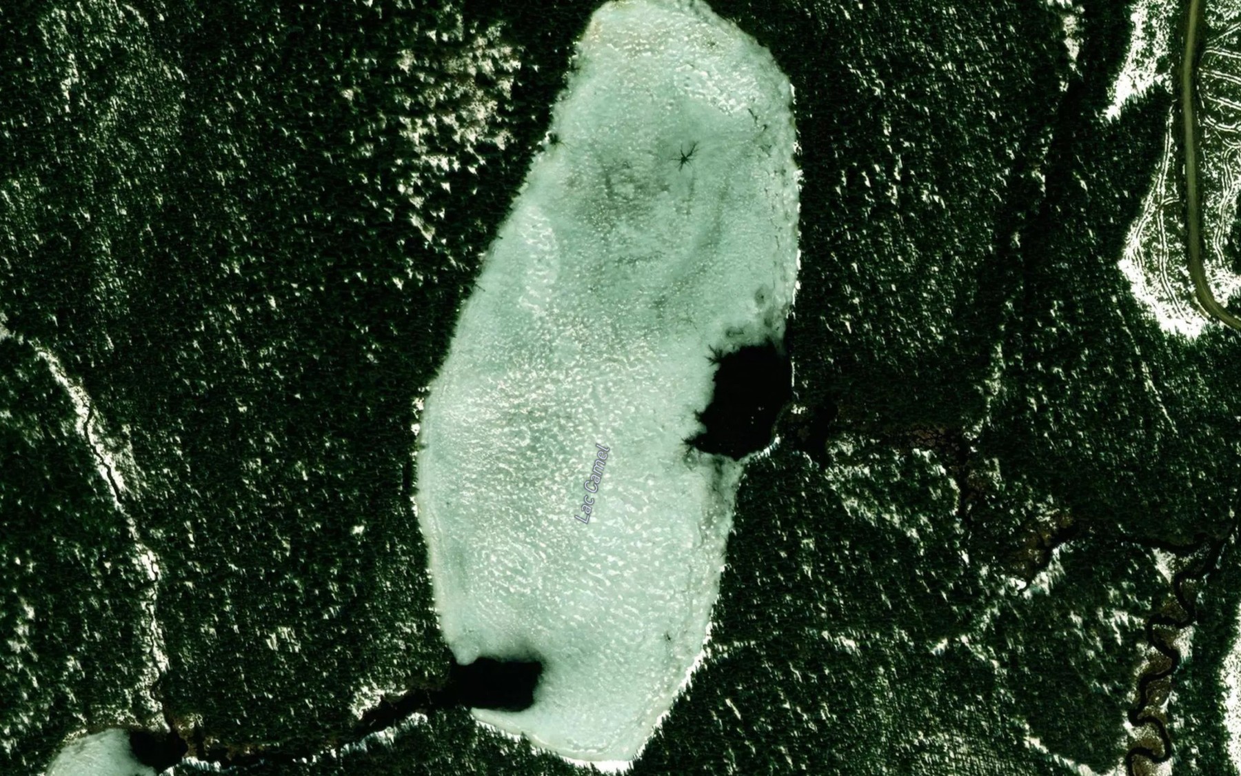 Satellite map of the Lac Camel