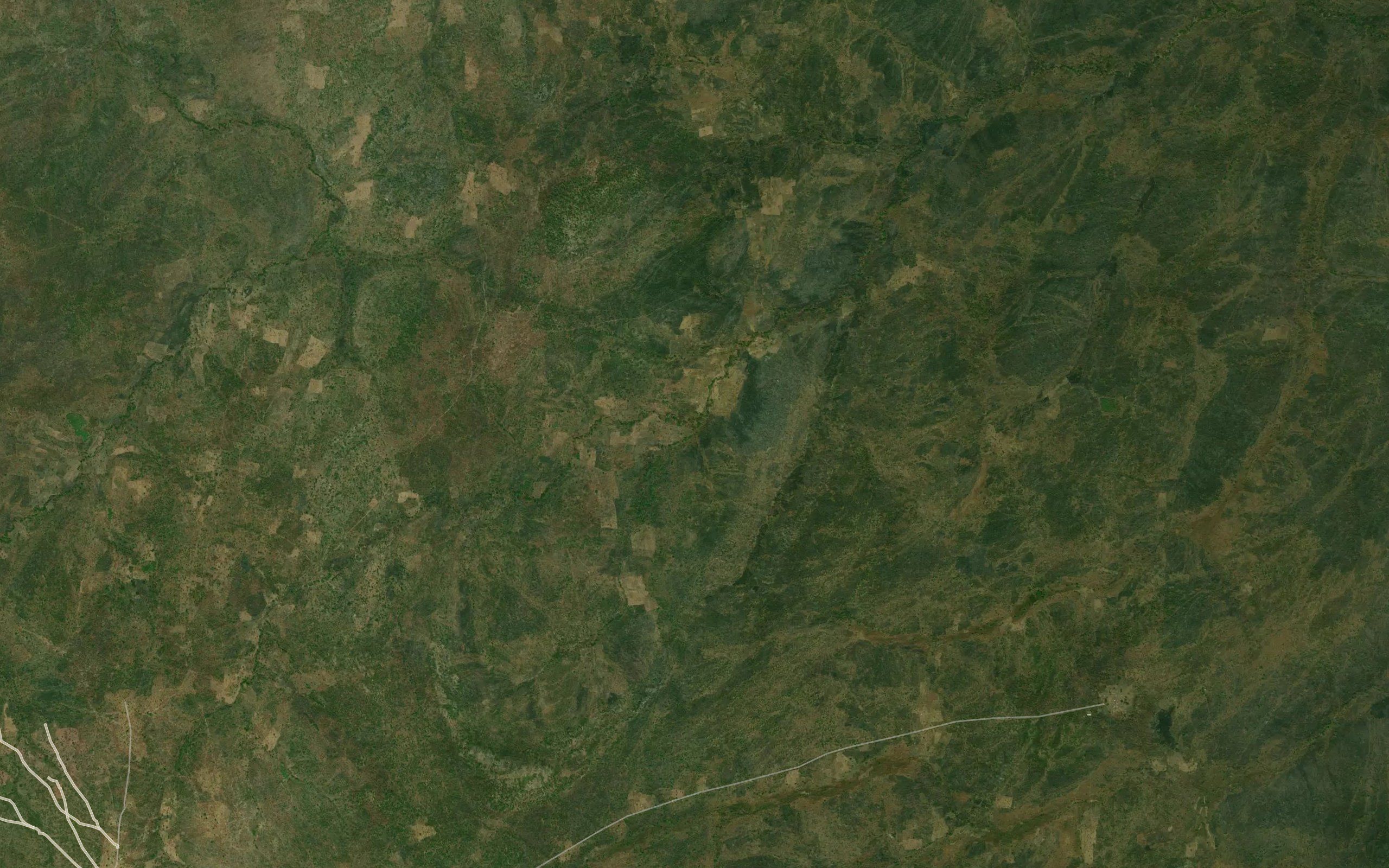 Tidinyogong