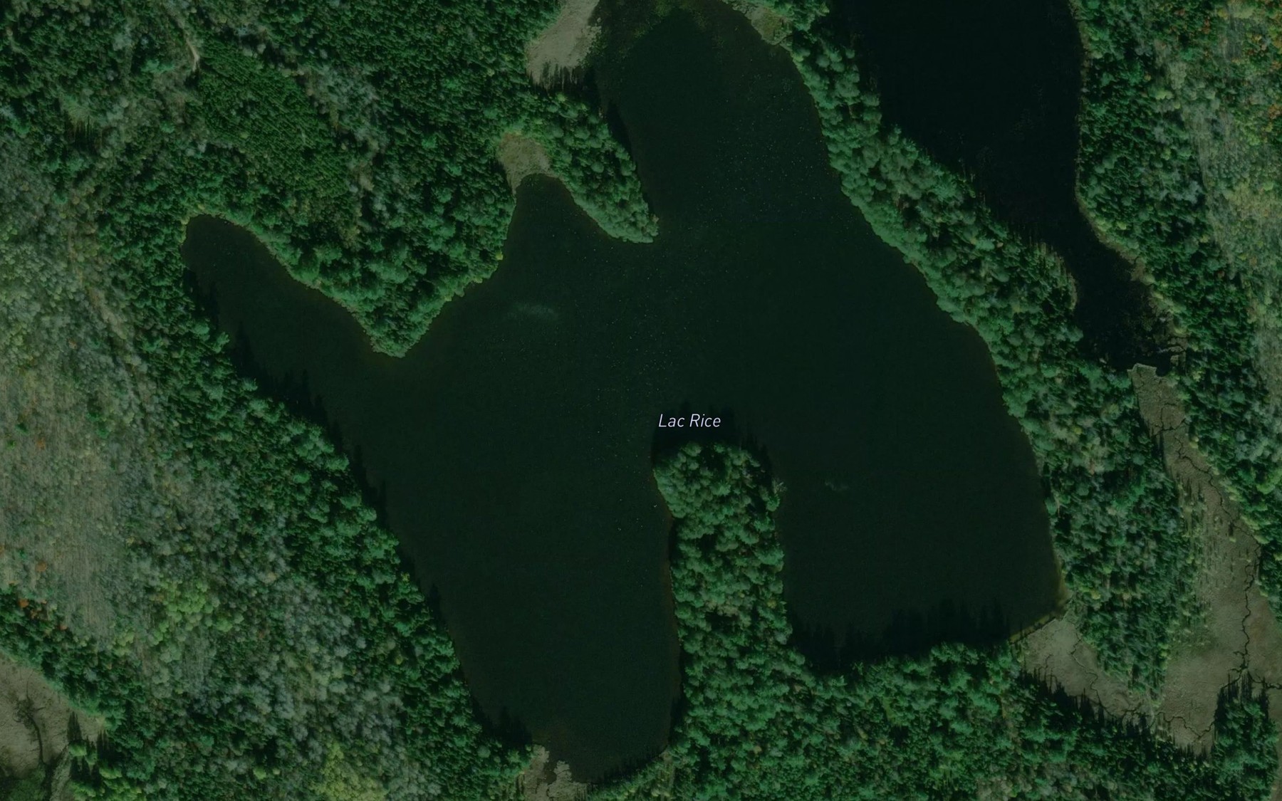 Satellite map of the Lac Rice