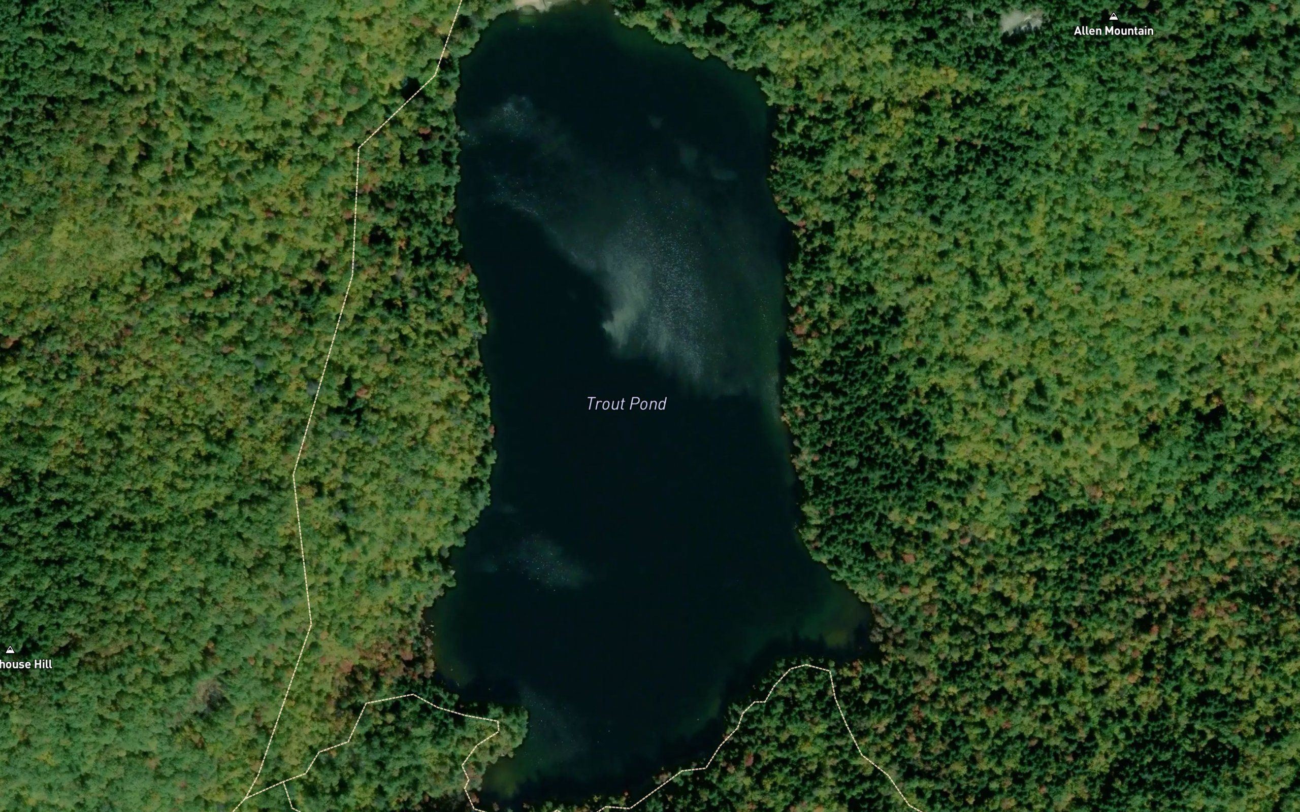 Trout Pond