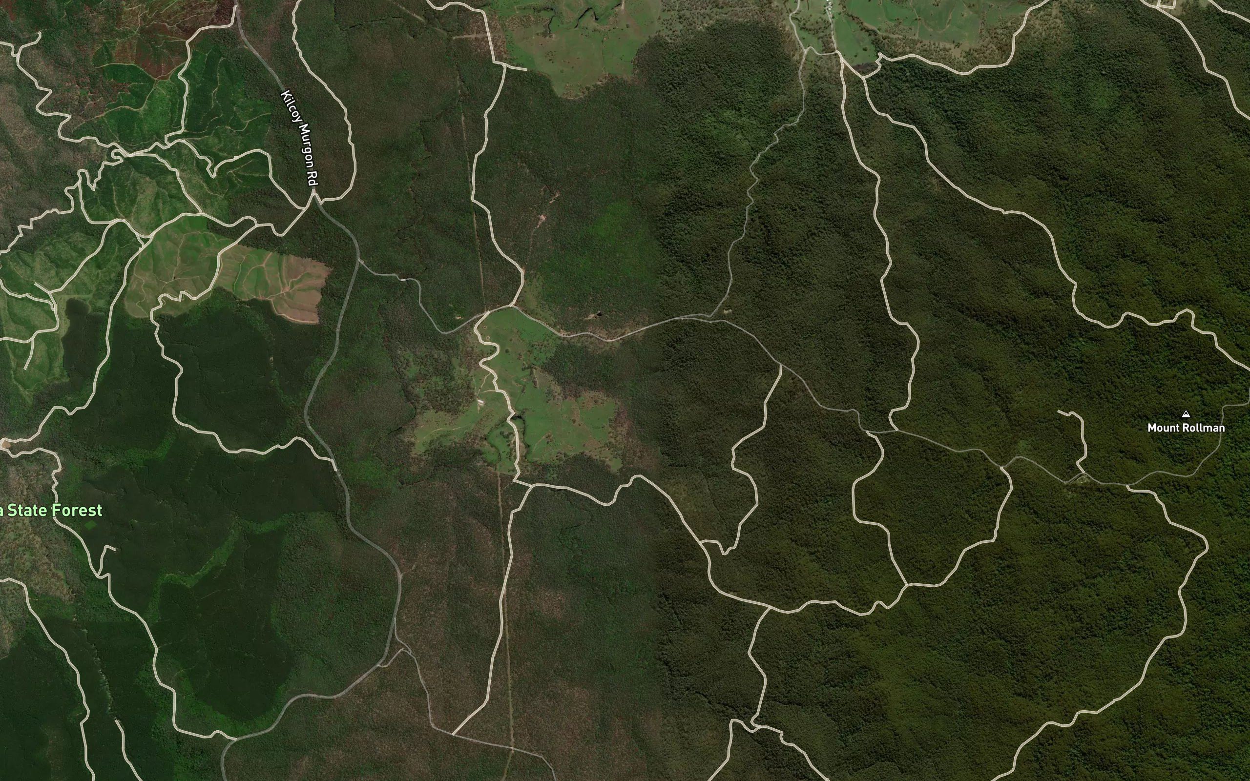 Bufalo Gully