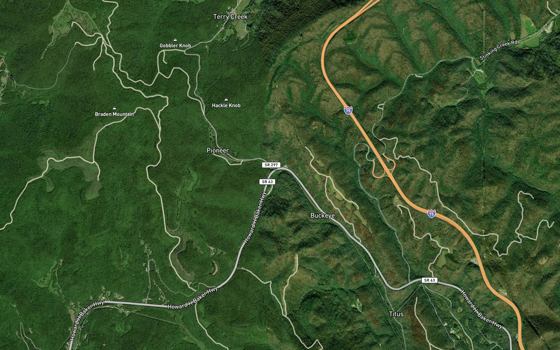 Satellite map of the Rector Branch
