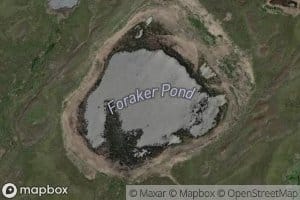 Foraker Pond