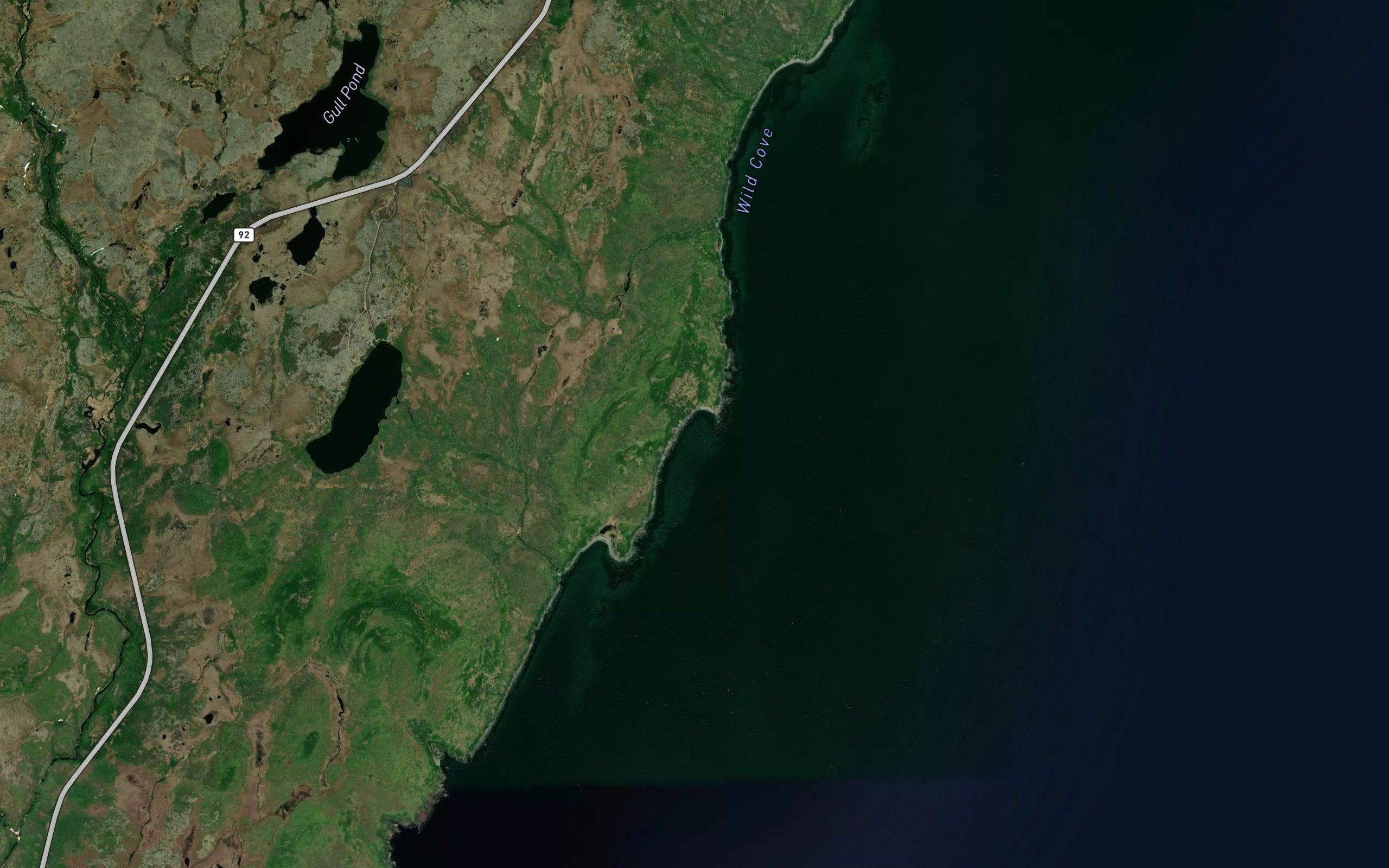 Outside Bear Cove