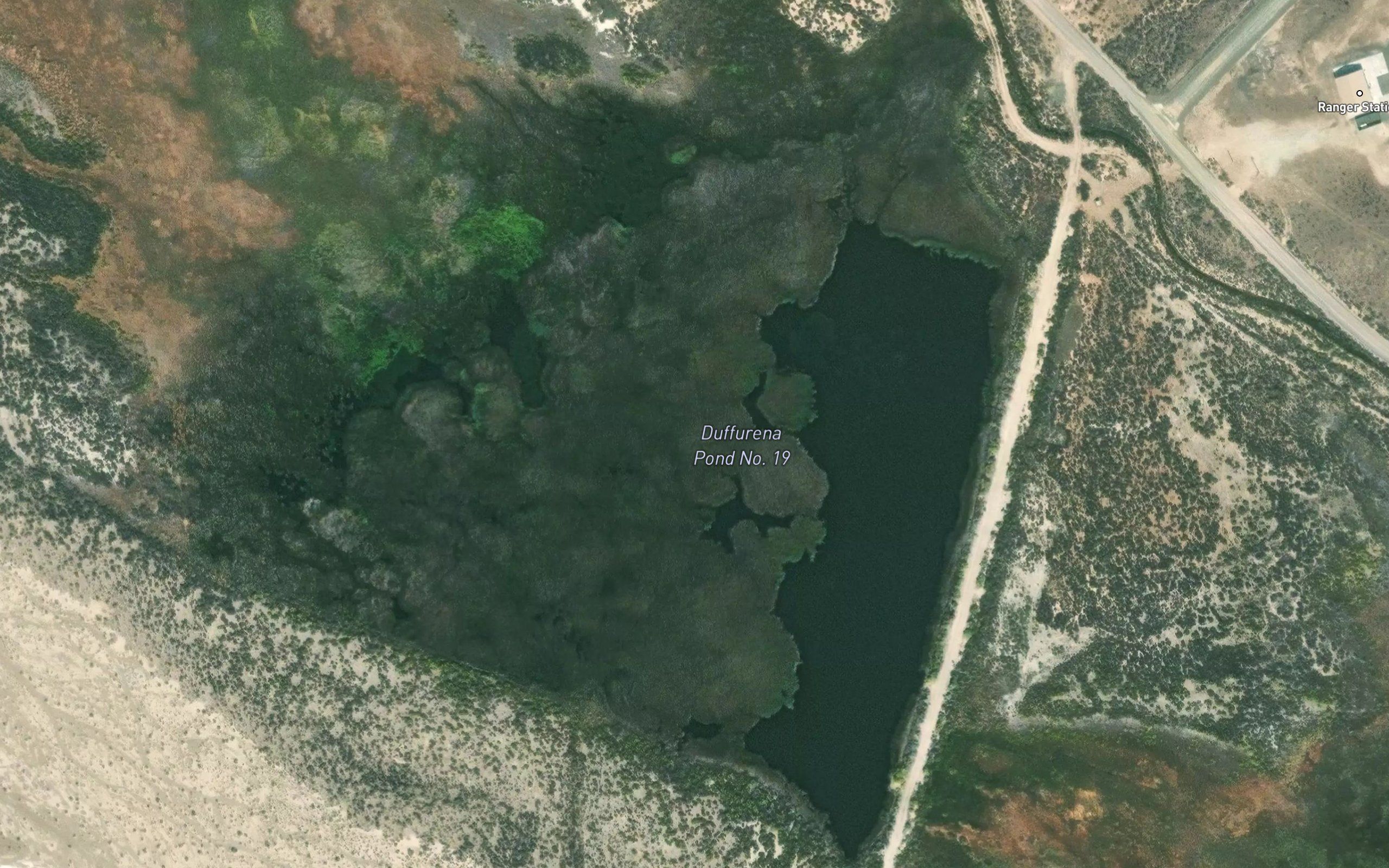 Dufurrena Pond Number Nineteen