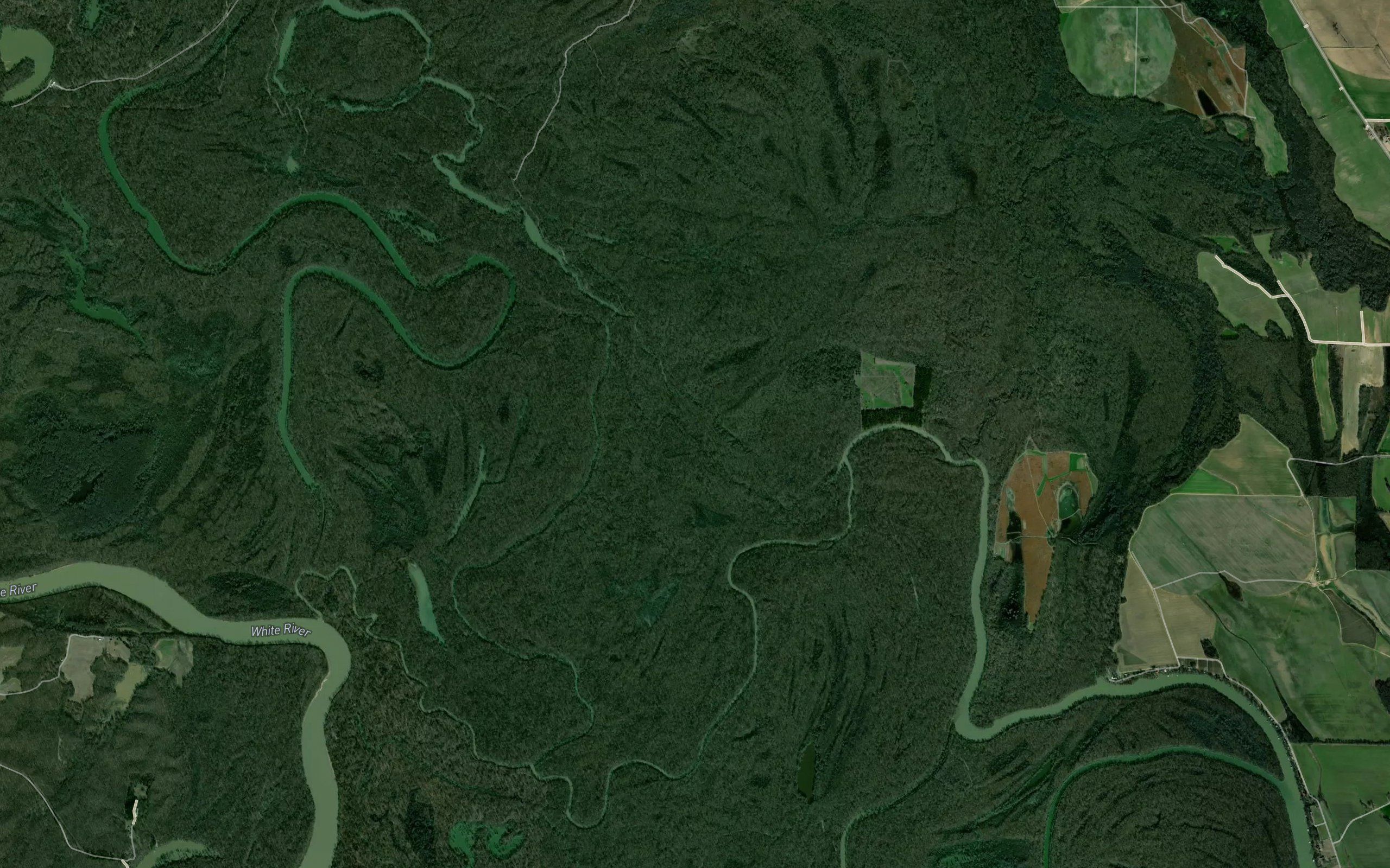 Bear Camp Slough