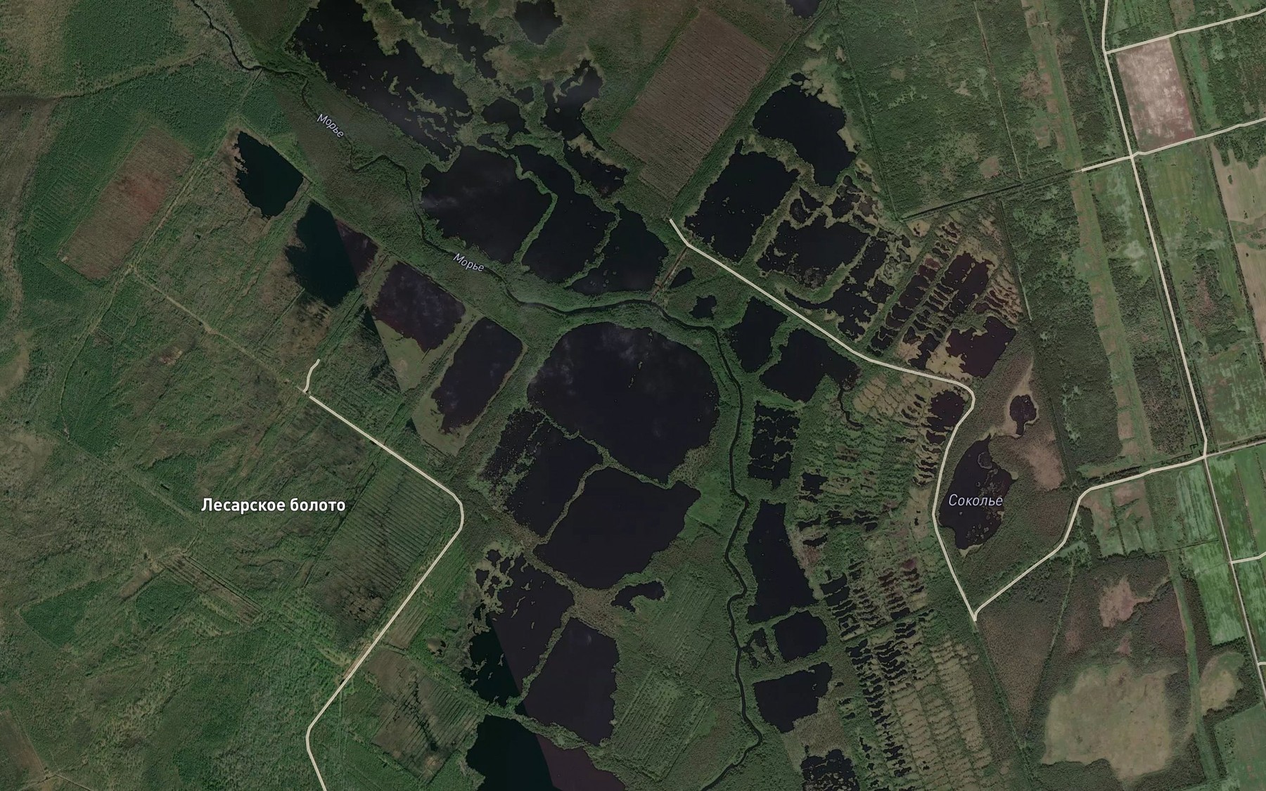 Satellite map of the Ozera Sokol'i