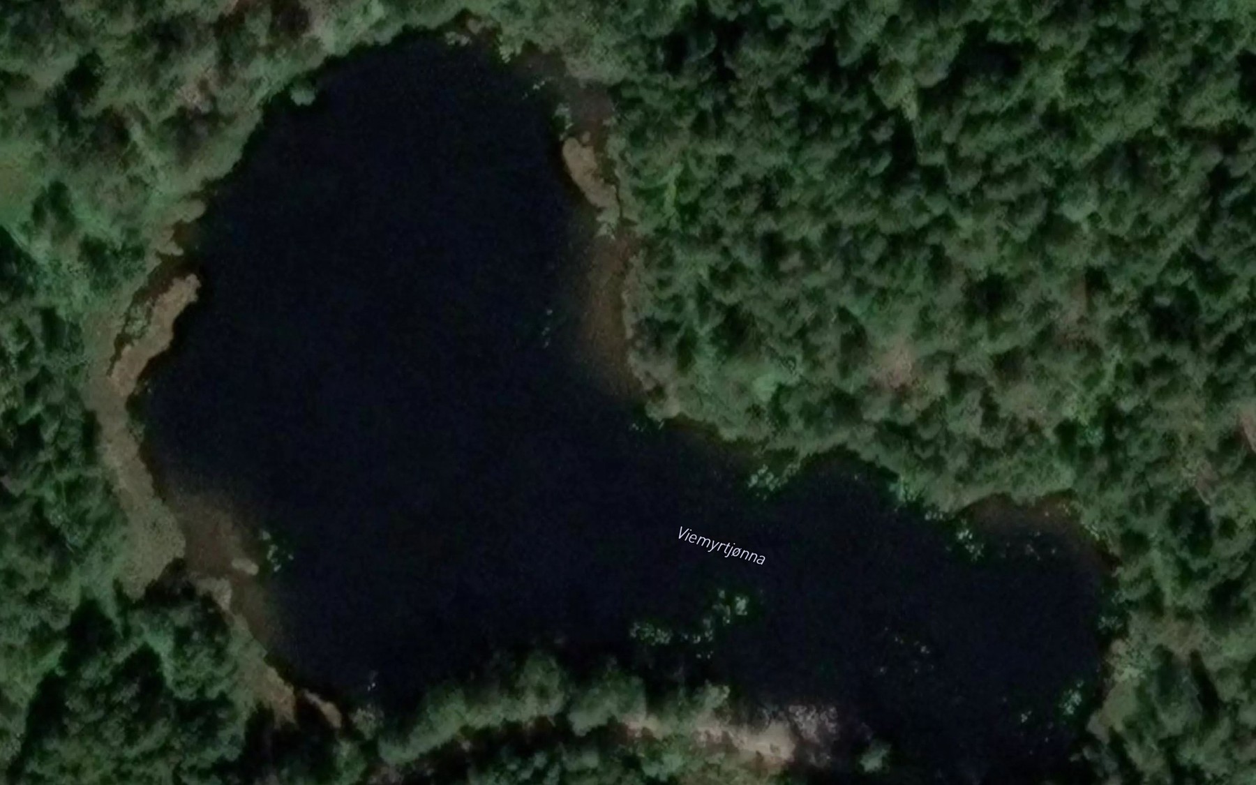 Satellite map of the Viemyrtjonna
