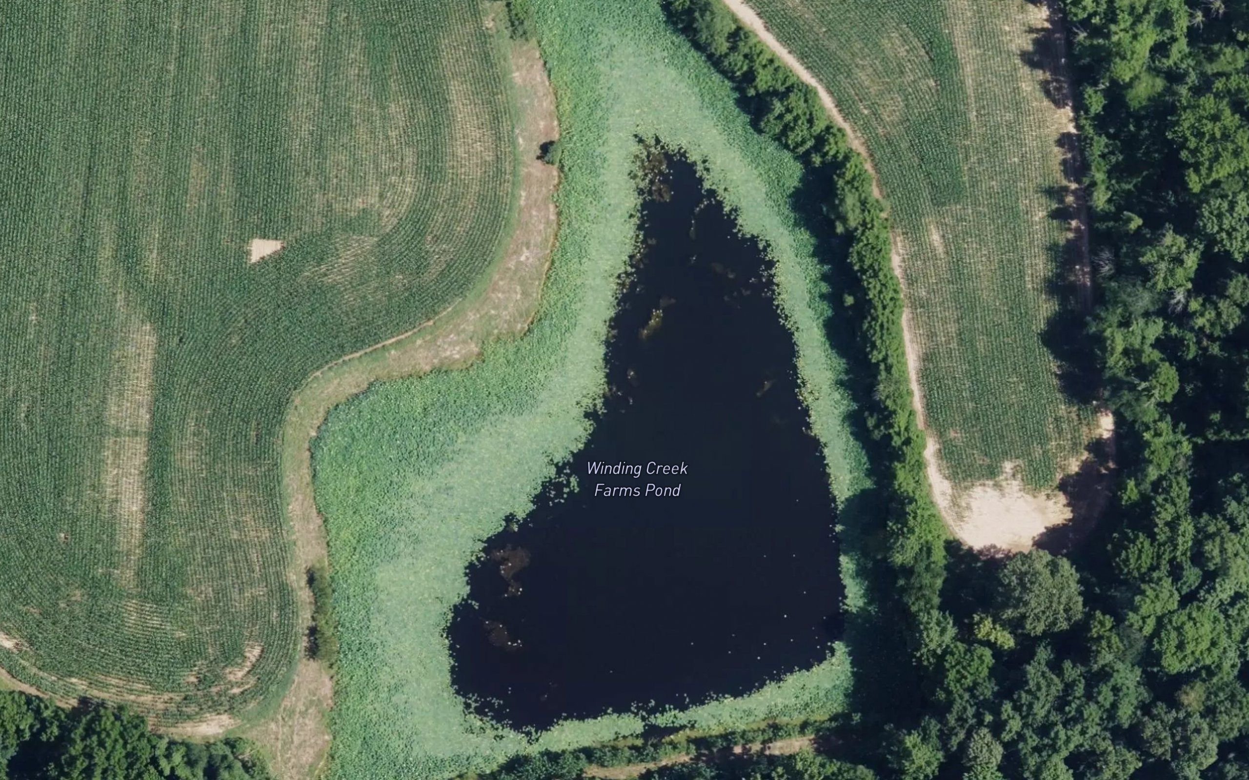 Winding Creek Farms Pond