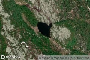 Fjelltjonna