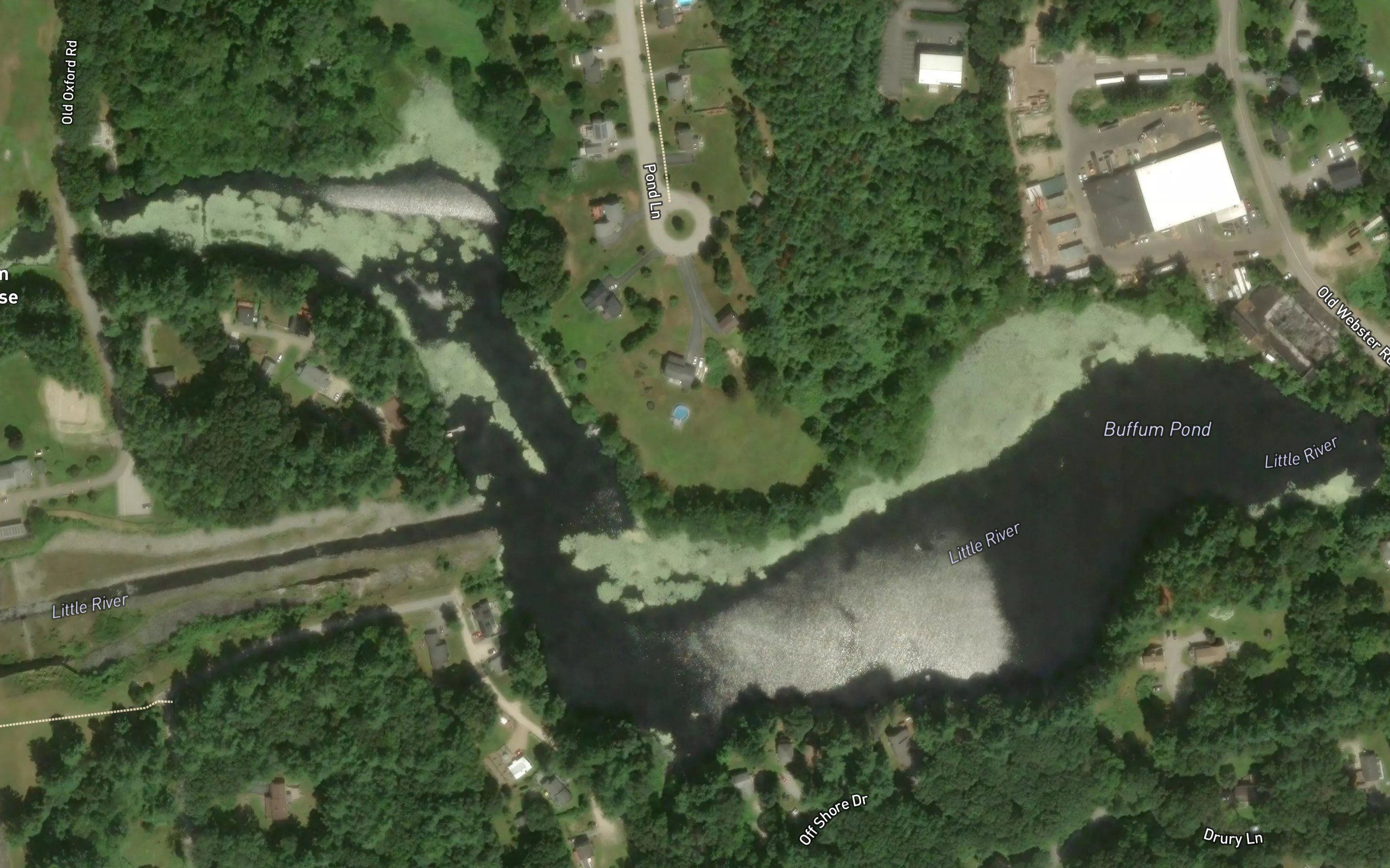 Buffum Pond