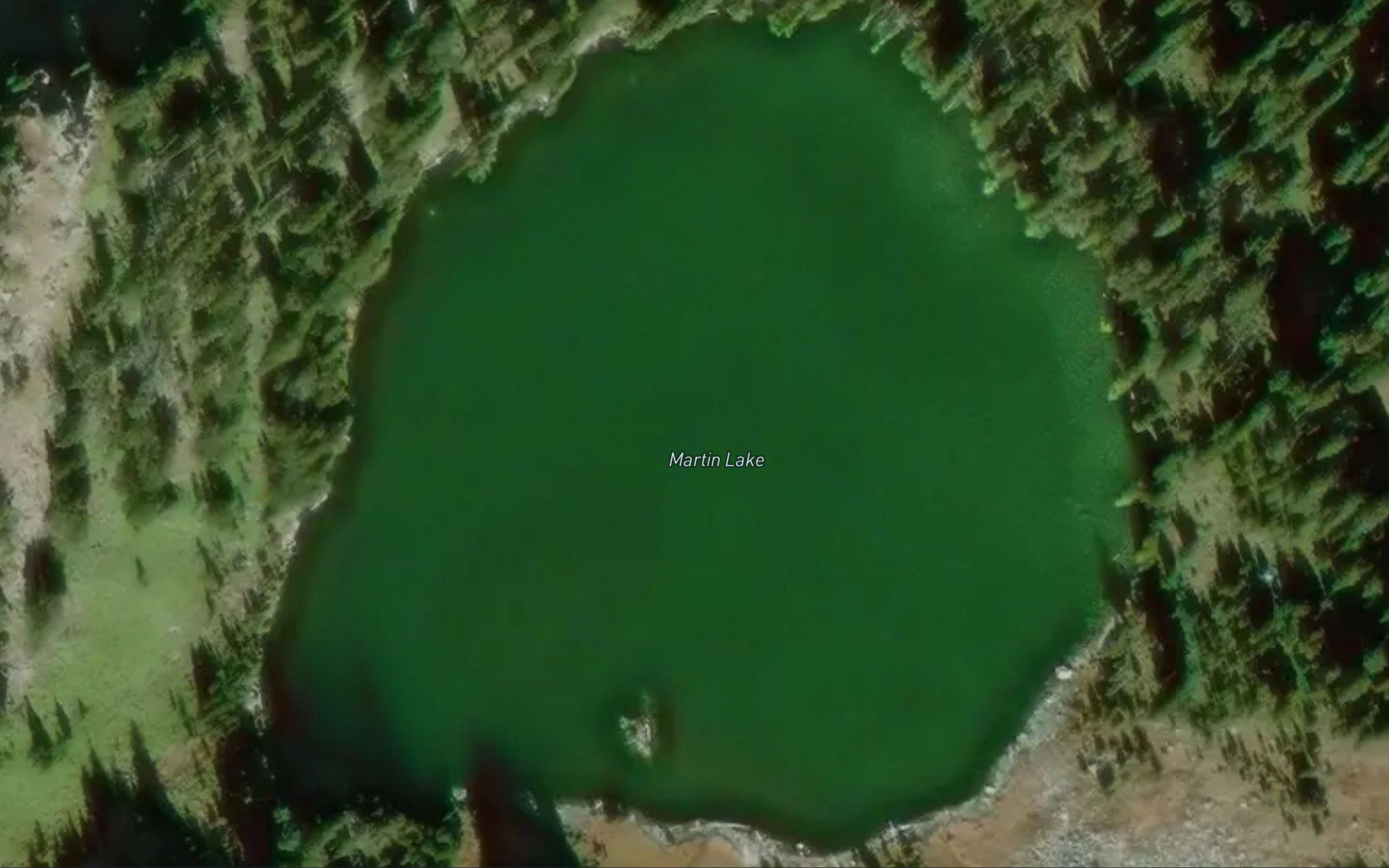 Martin Lake