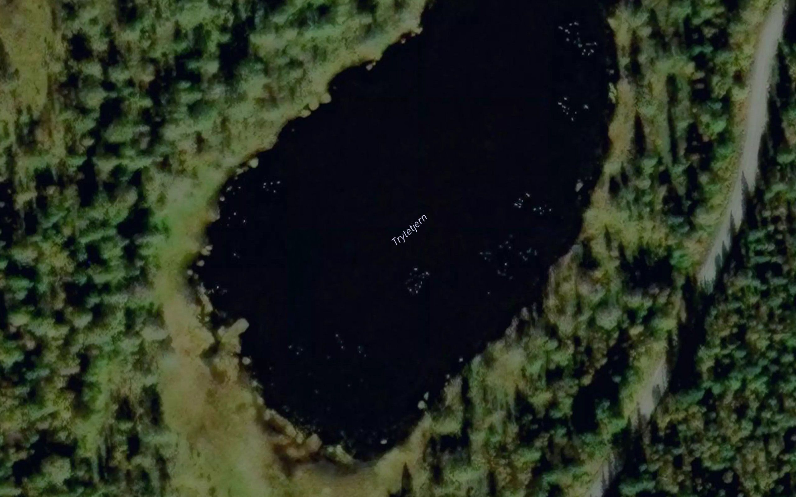 Tryttjernet