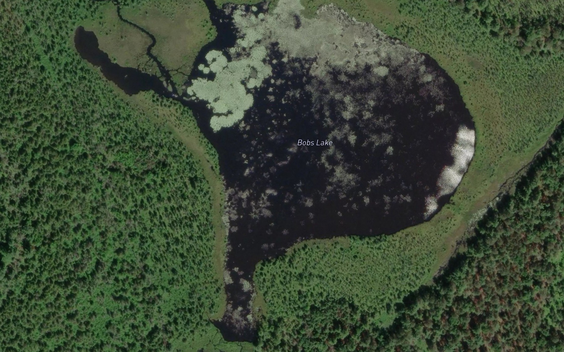Satellite map of the Bobs Lake