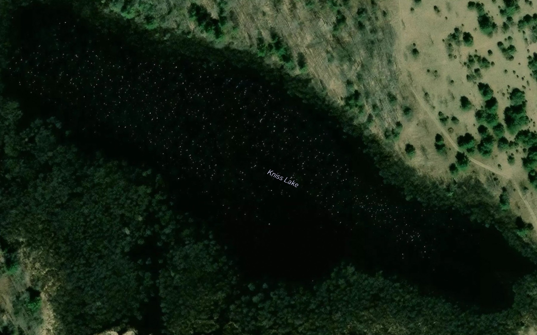Satellite map of the Kniss Lake