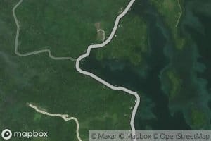 Qayong