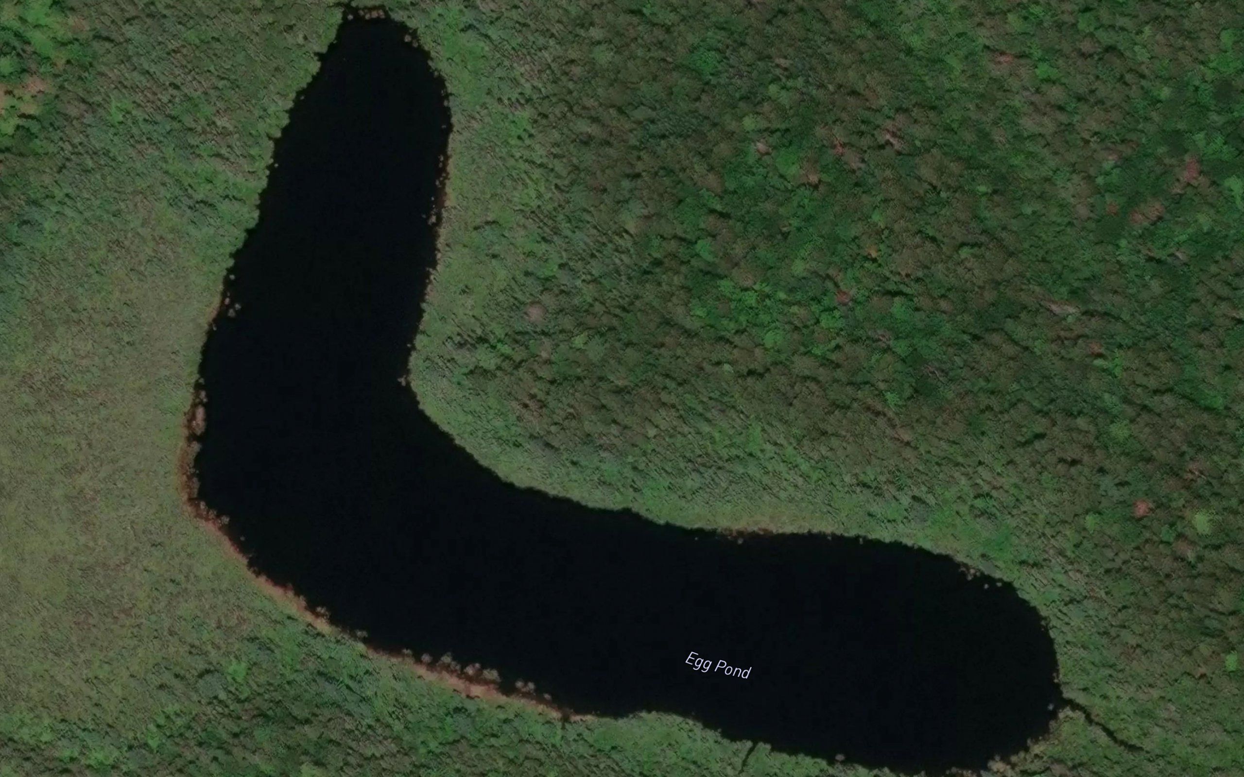 Egg Pond