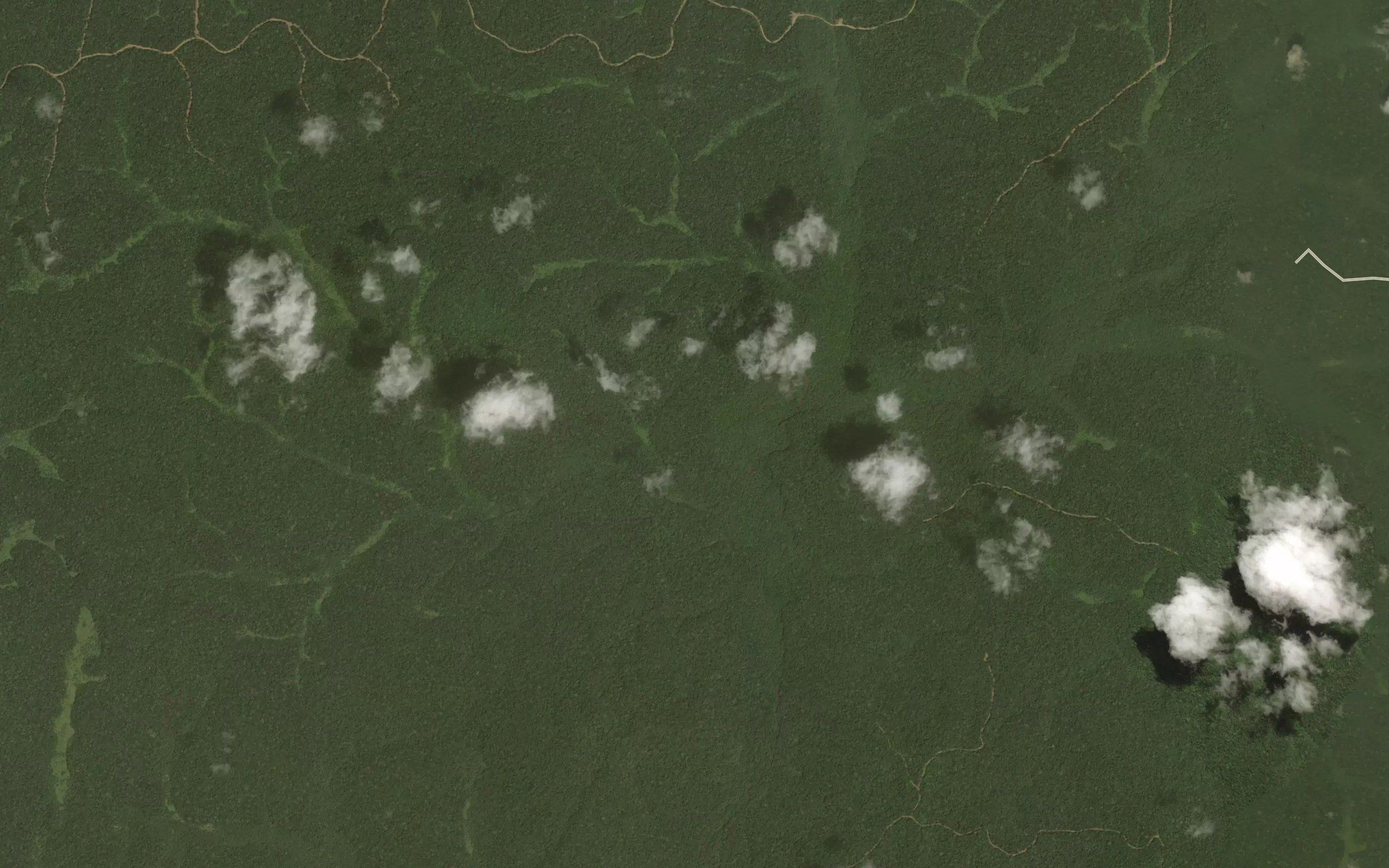 Bekoum