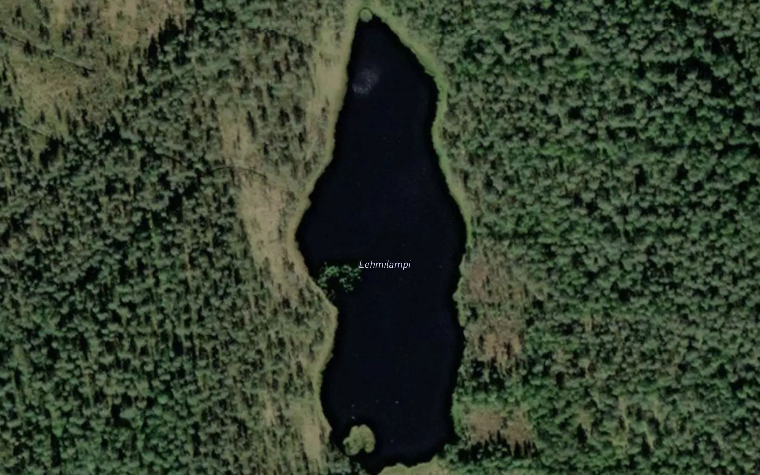 Lehmilampi