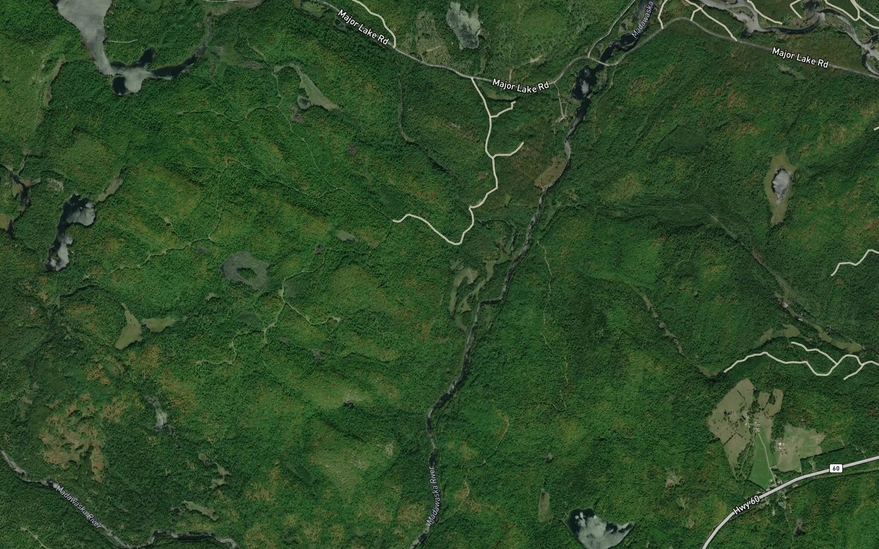 Satellite map of the McCauley Creek