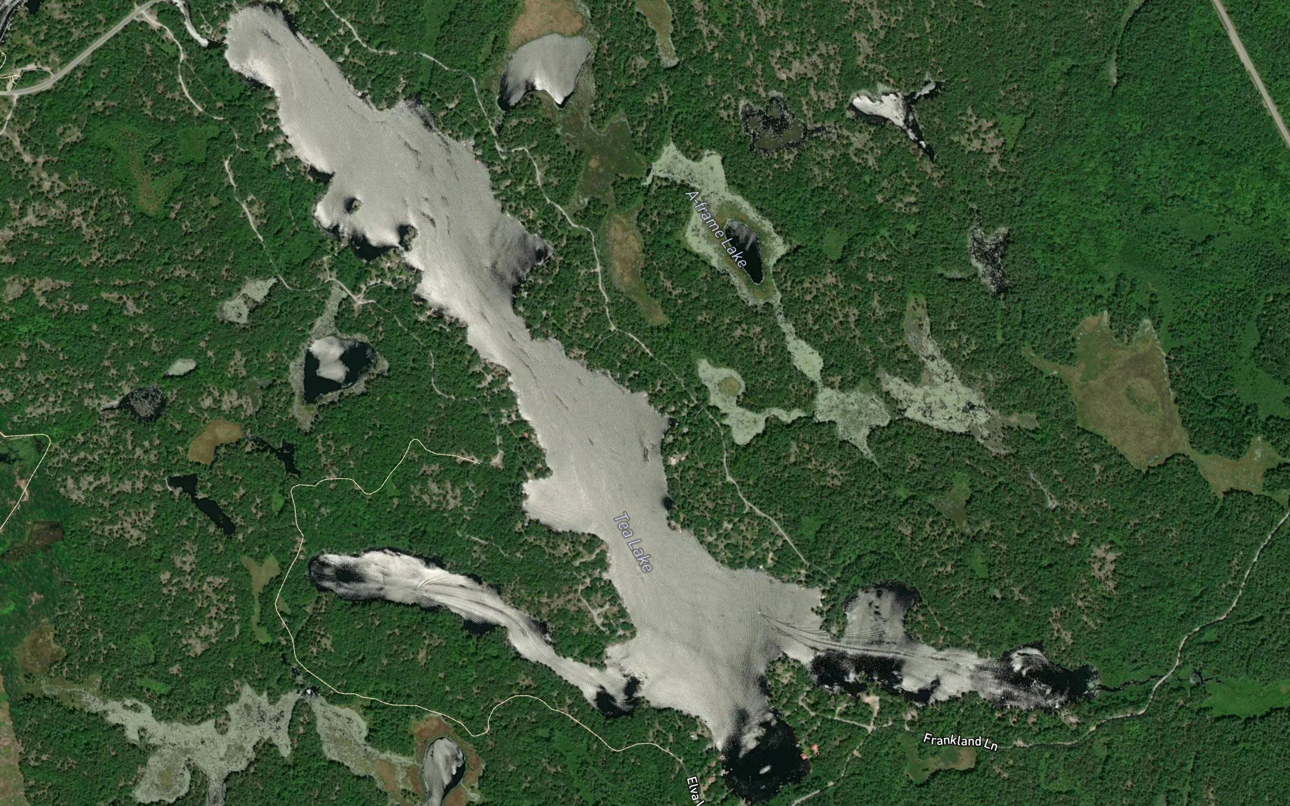 Tea Lake