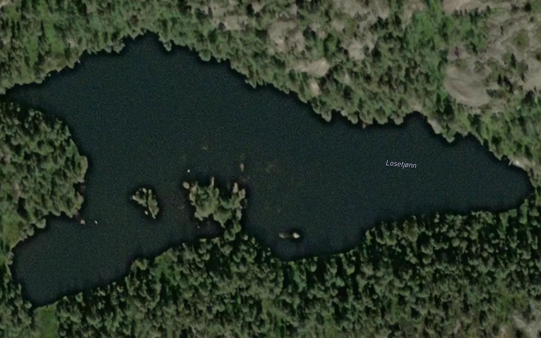 Satellite map of the Losetjonn