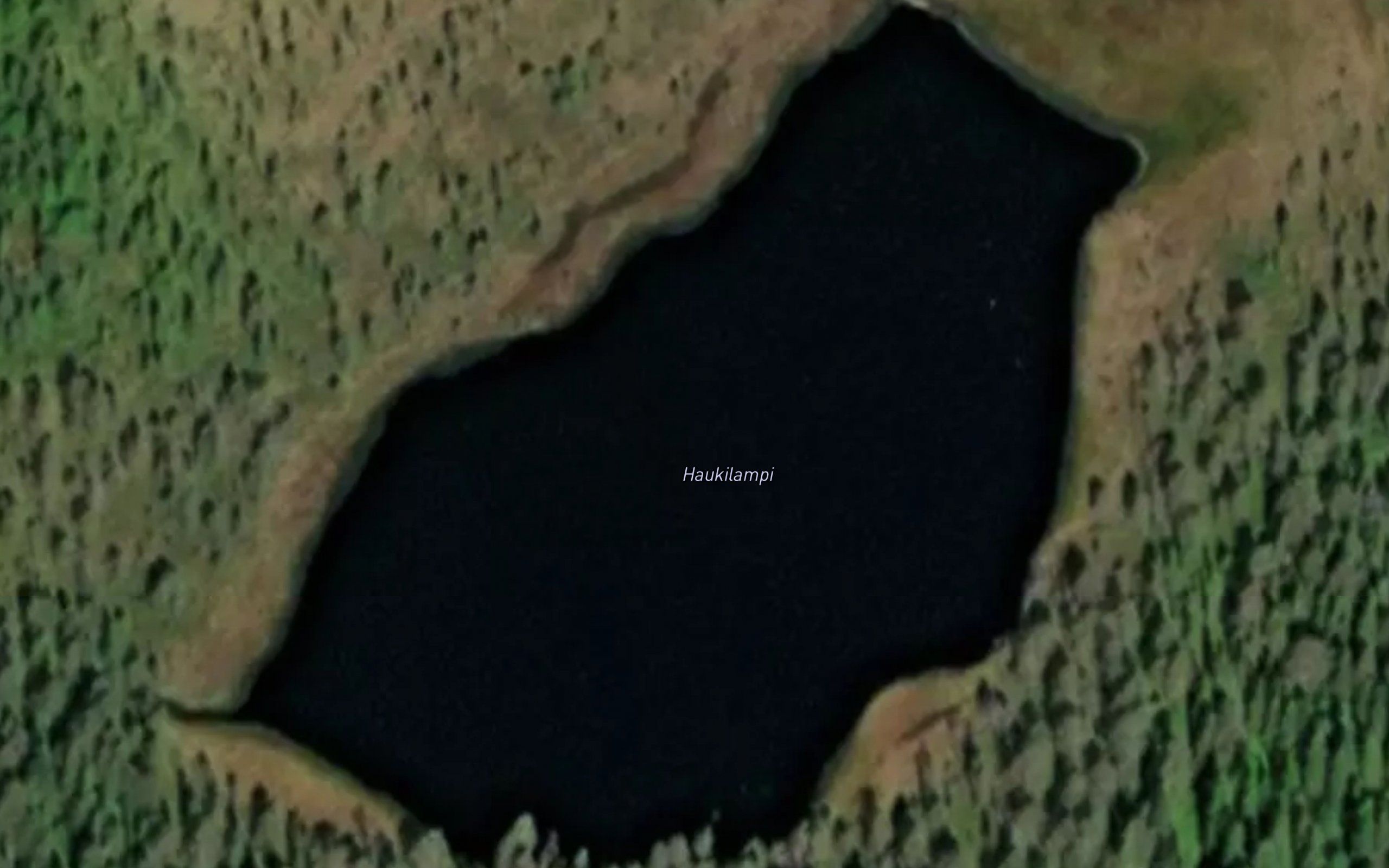 Haukilampi