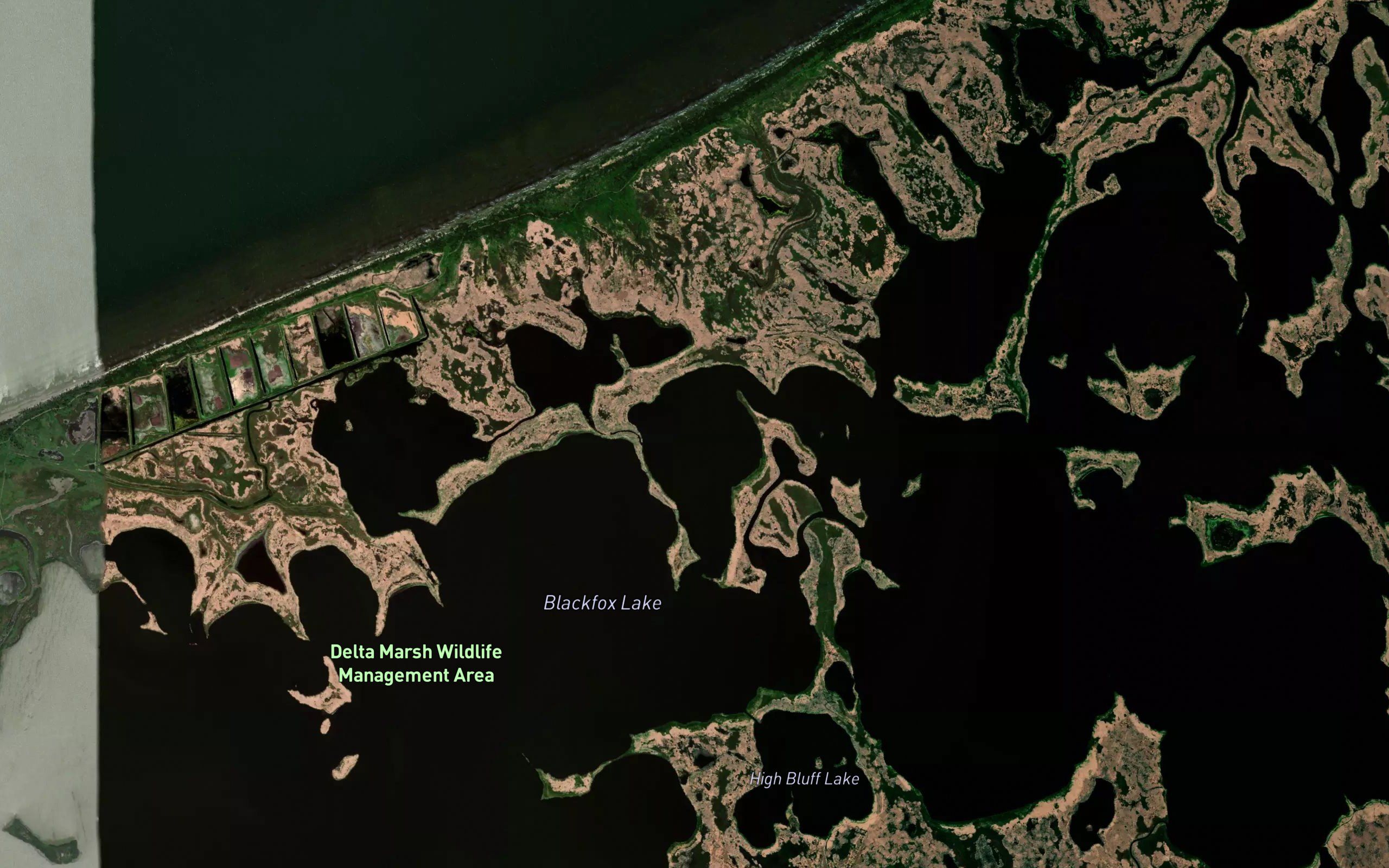 Wilson Lake