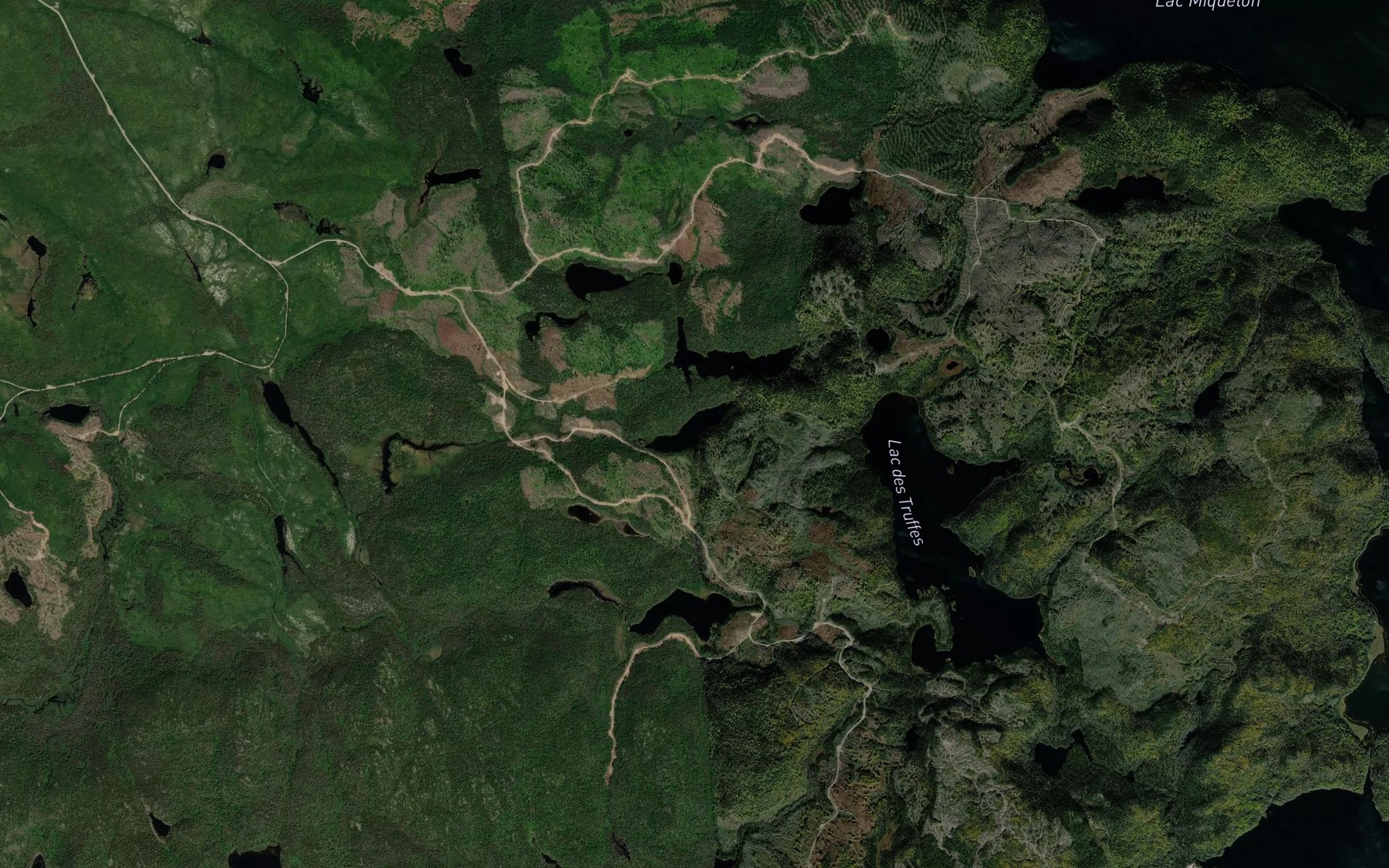 Satellite map of the Lac des Troncs
