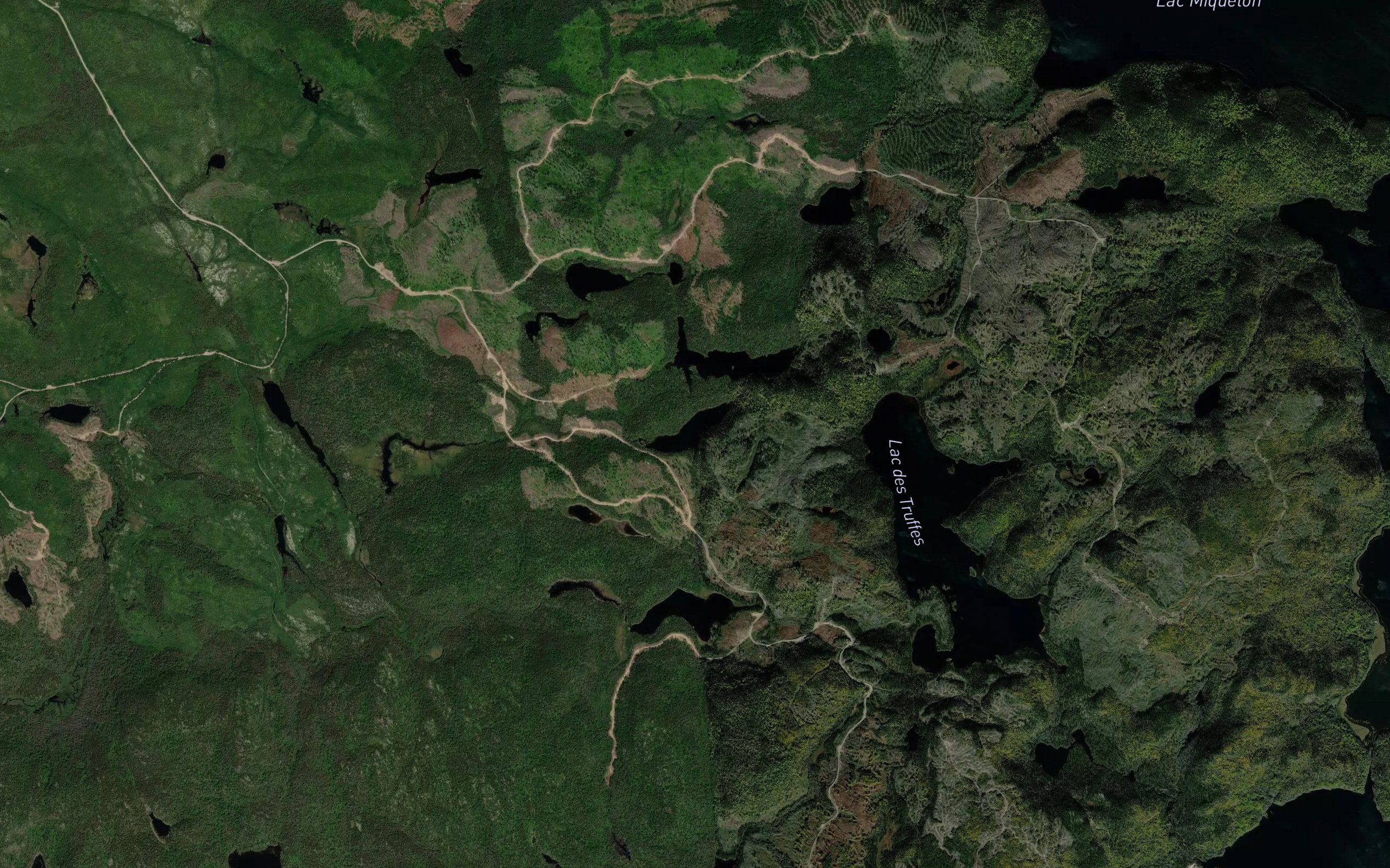 Lac des Troncs