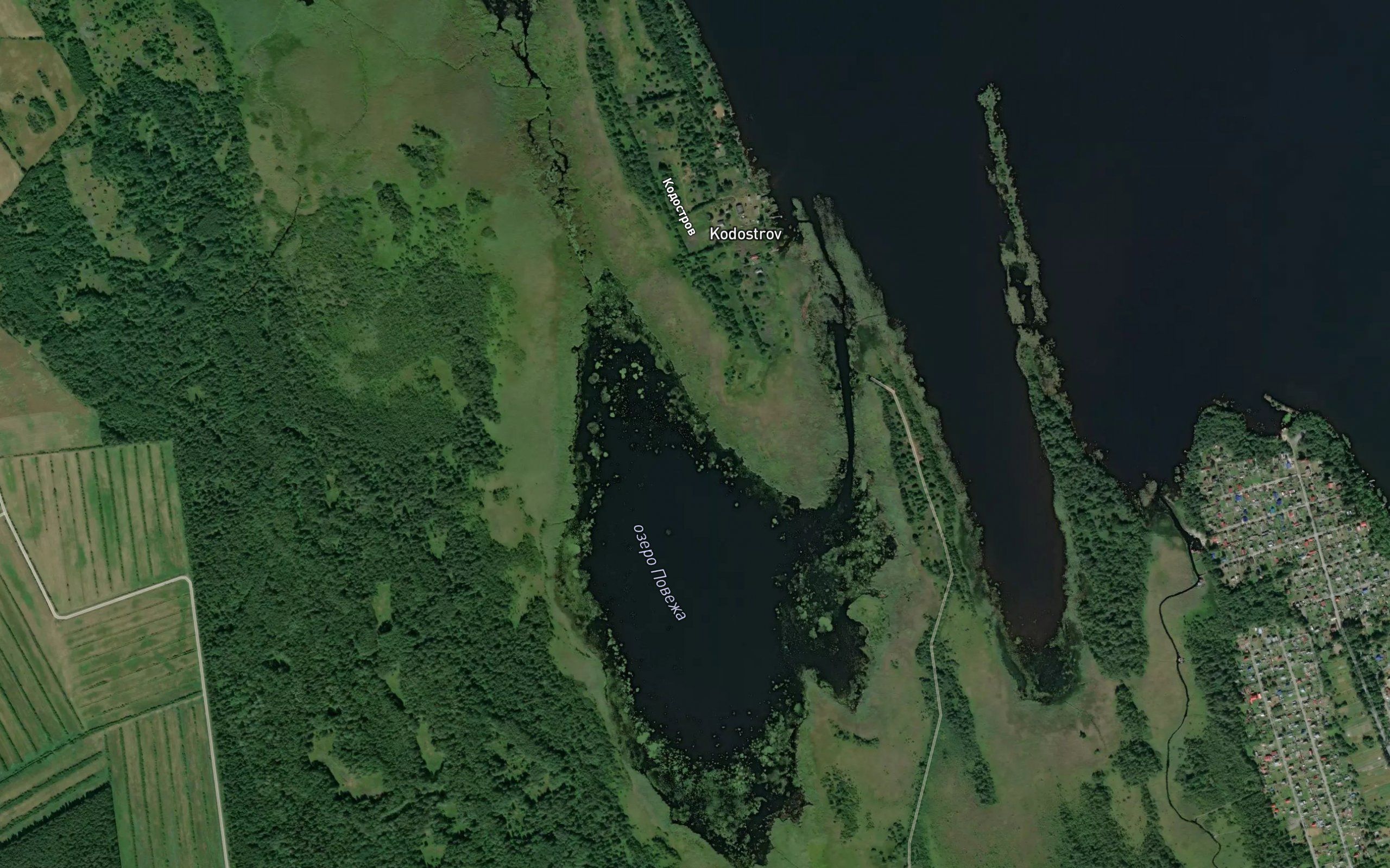 Oz. Povezha