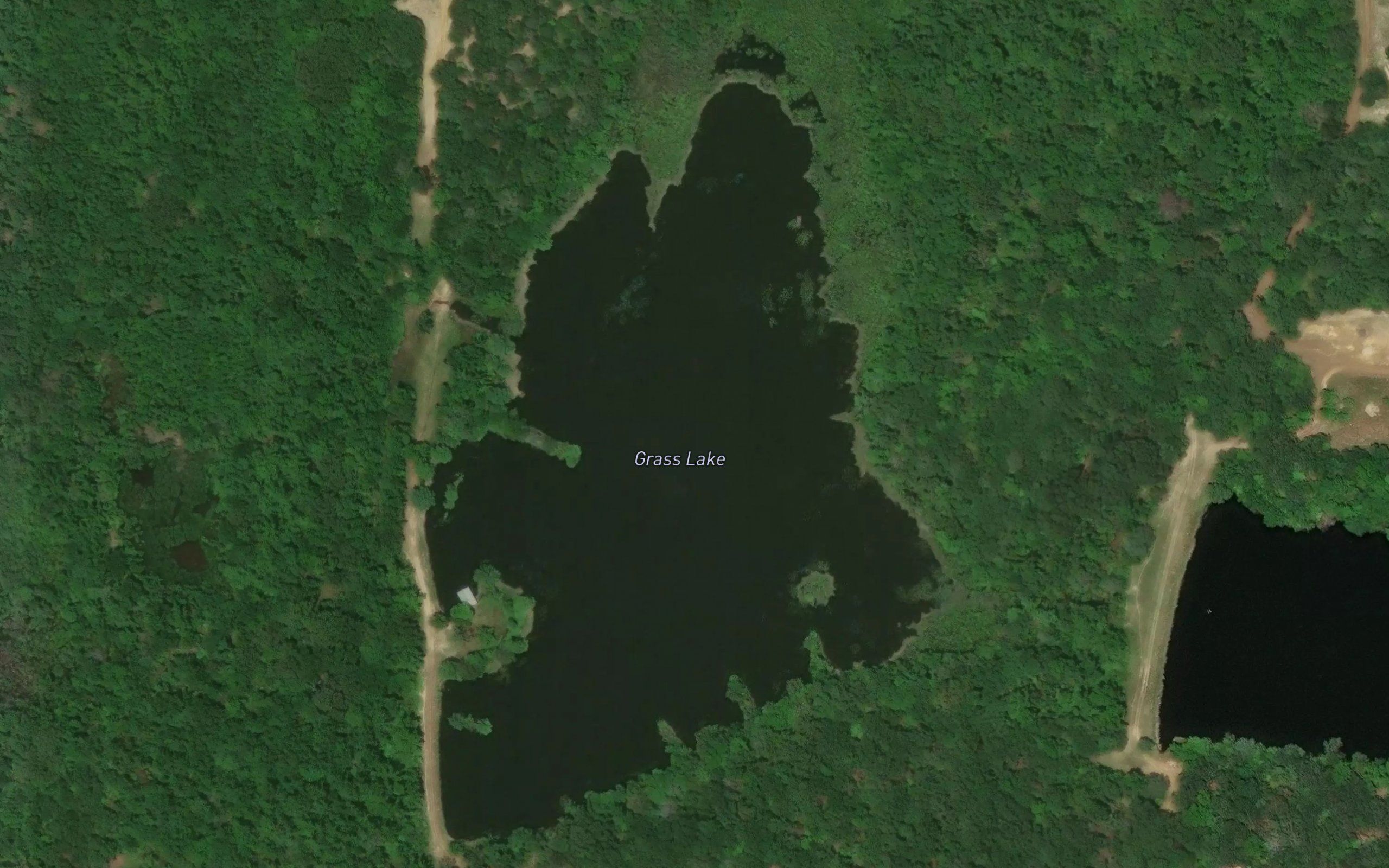 Grass Lake
