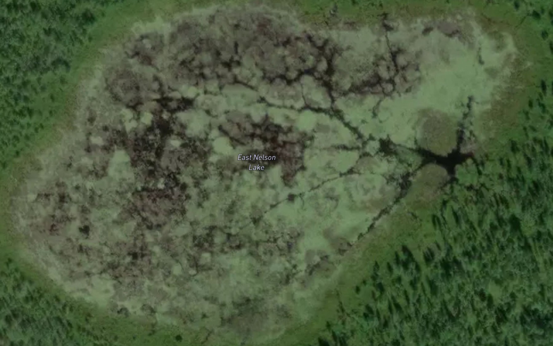Satellite map of the East Nelson Lake