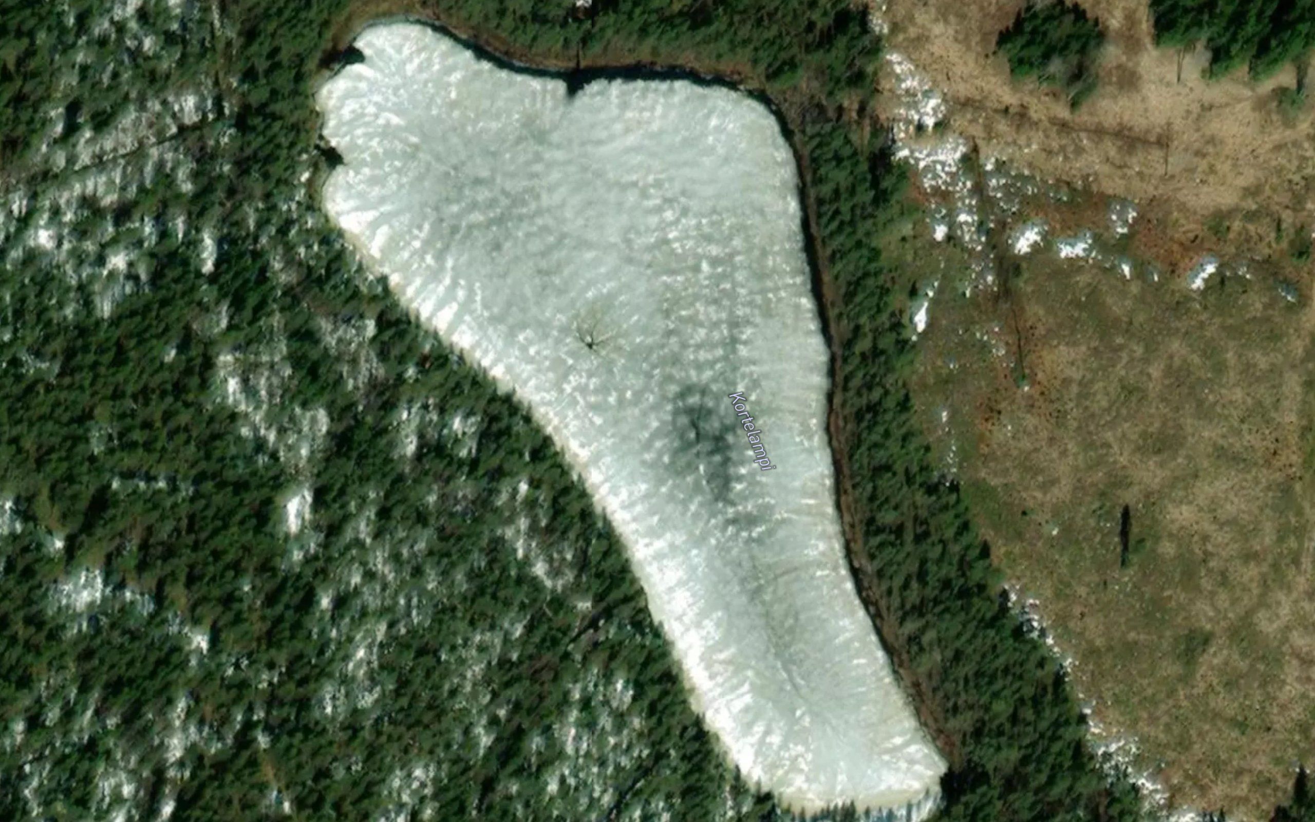 Kortelampi
