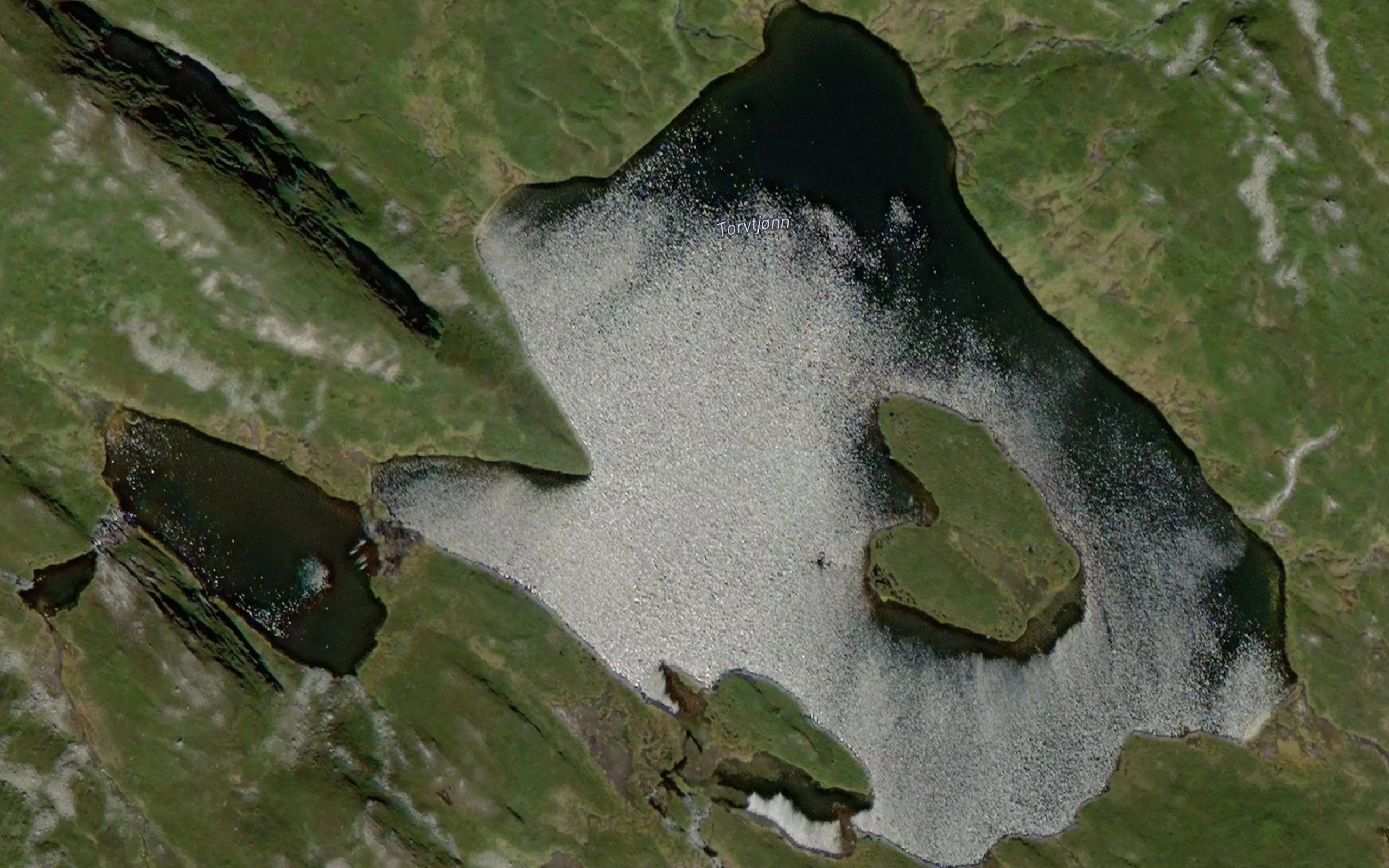 Torvtjonn