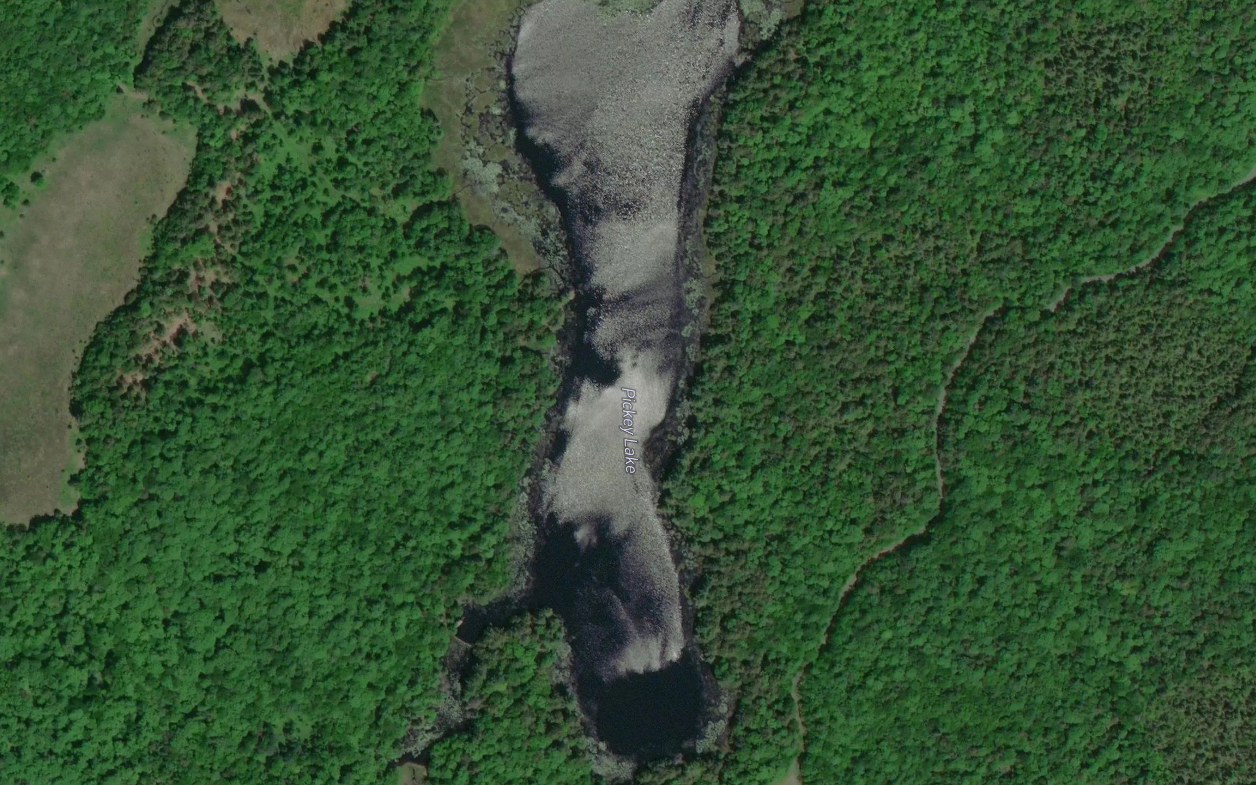 Pickey Lake