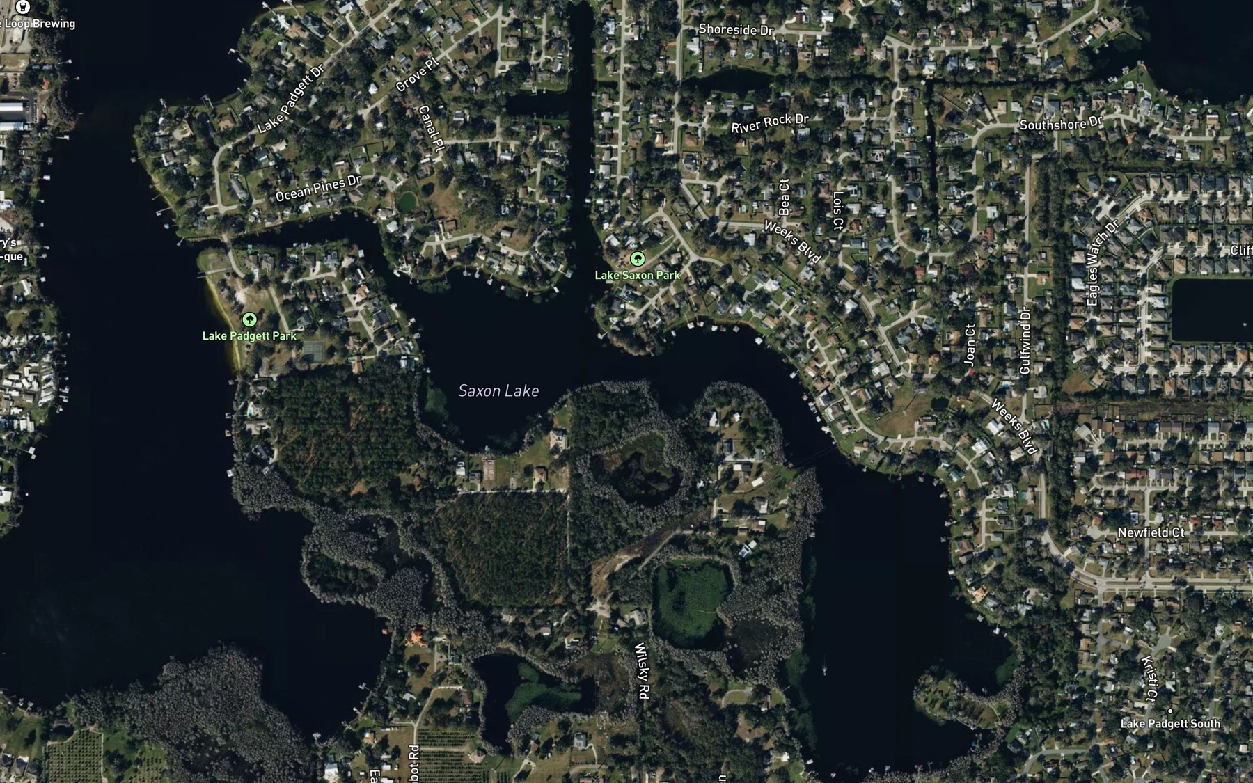 Satellite map of the Saxon Lake