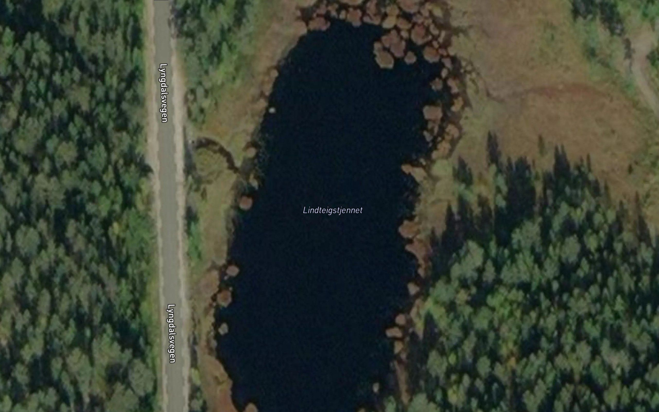 Linteigtjernet