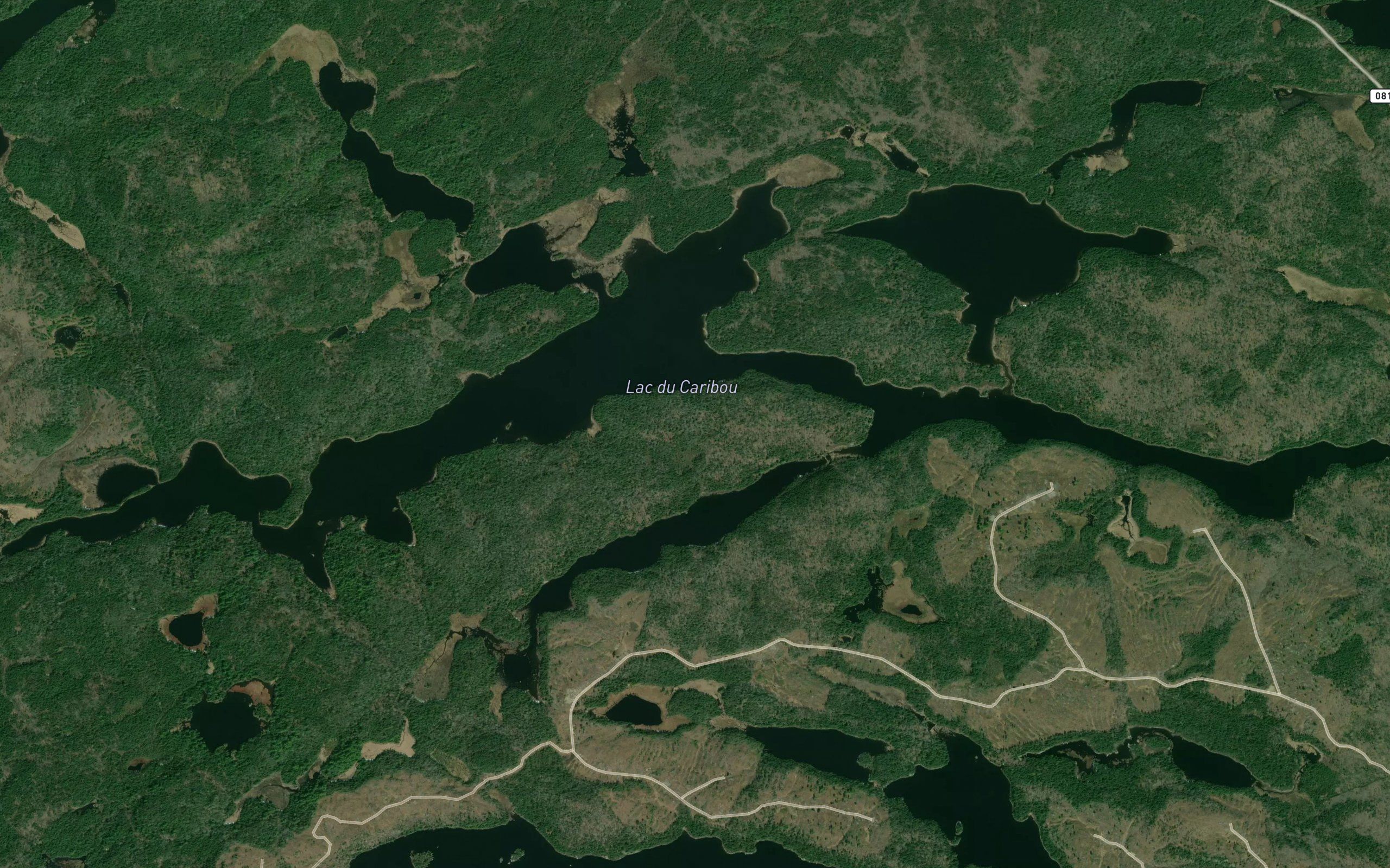 Lac du Caribou