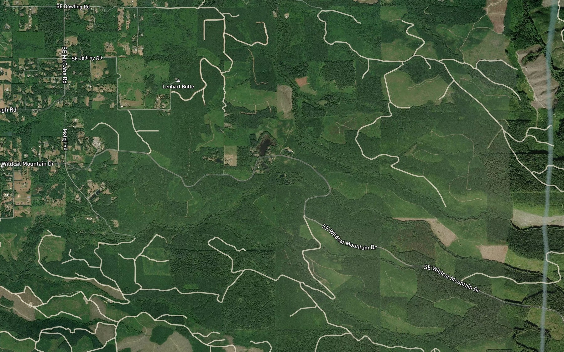 Satellite map of the Homestead Lake
