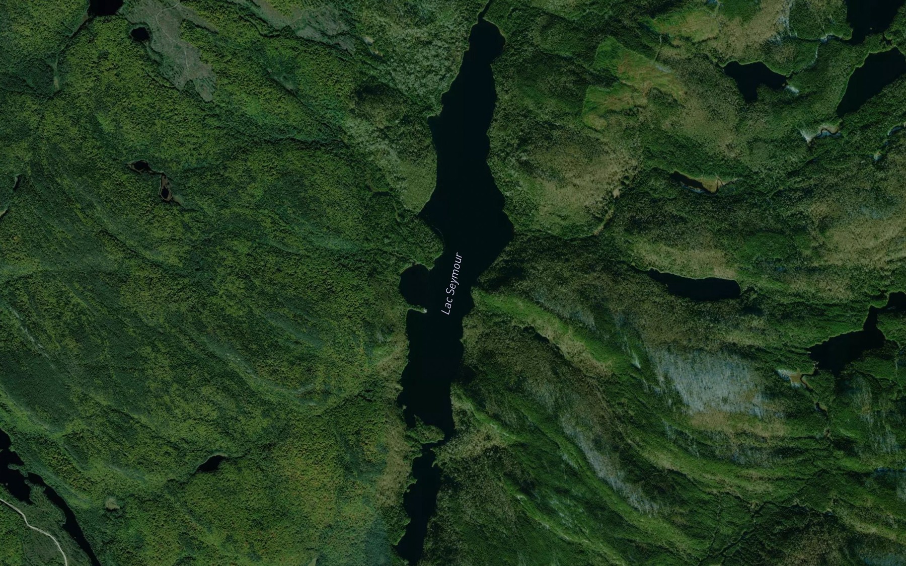 Satellite map of the Lac Seymour