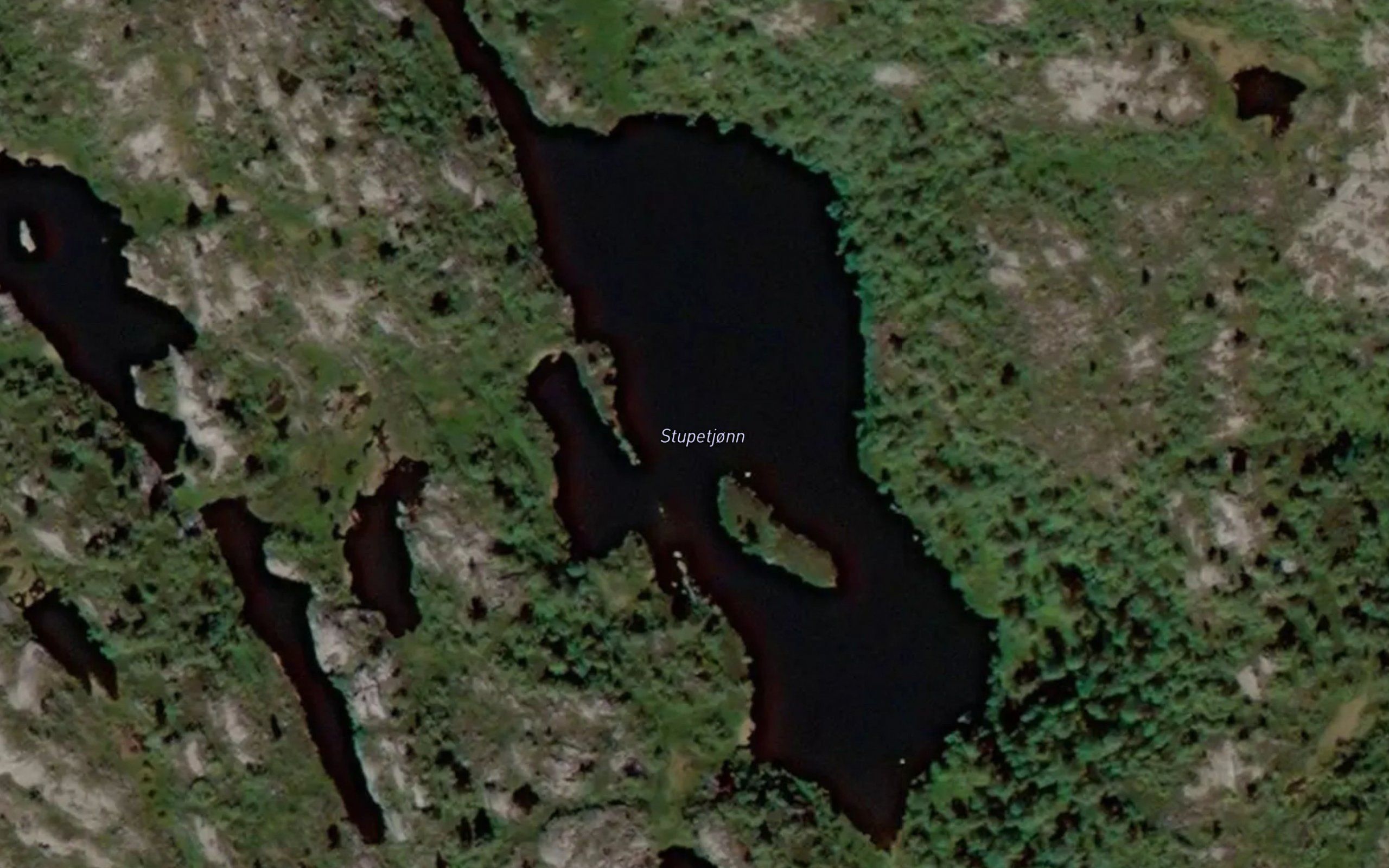 Stupetjonn