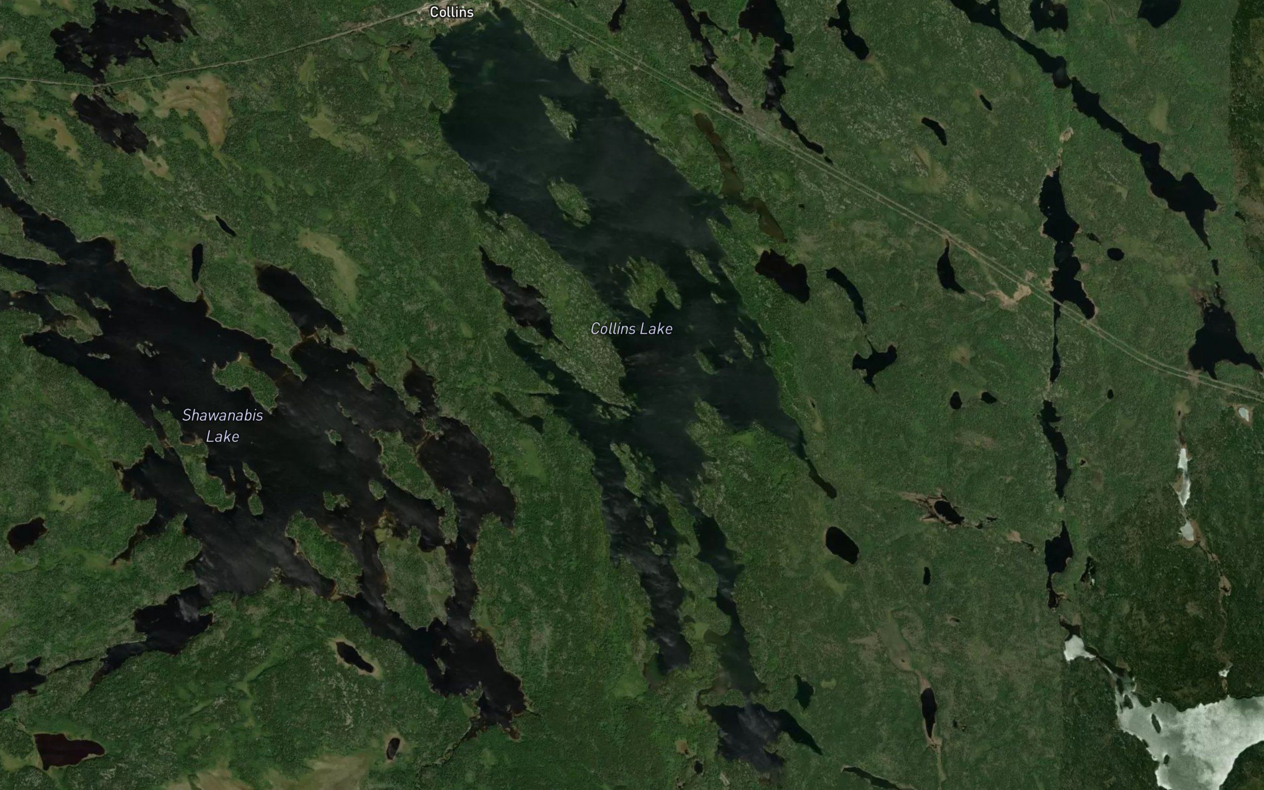 Collins Lake