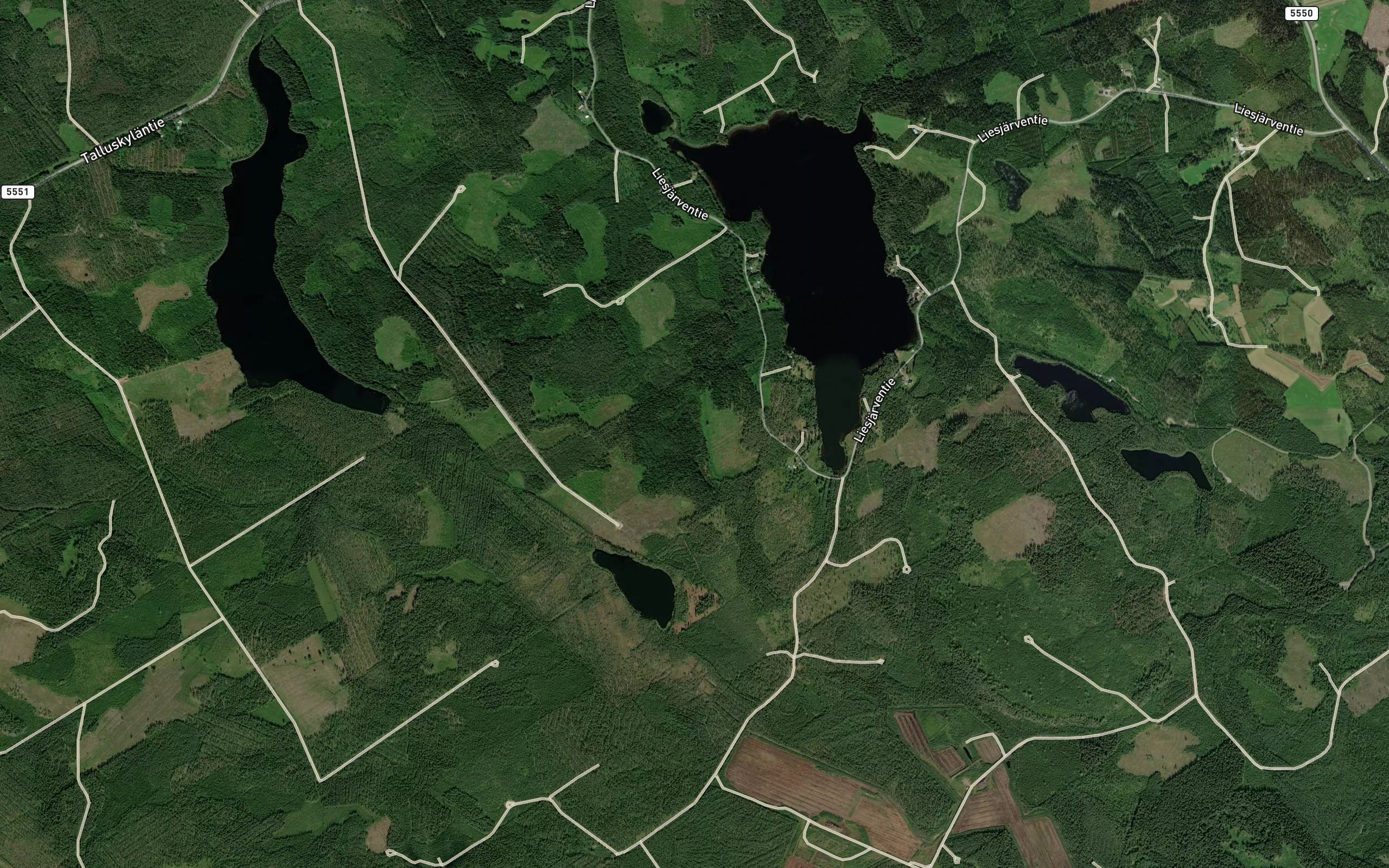 Liesjarvi