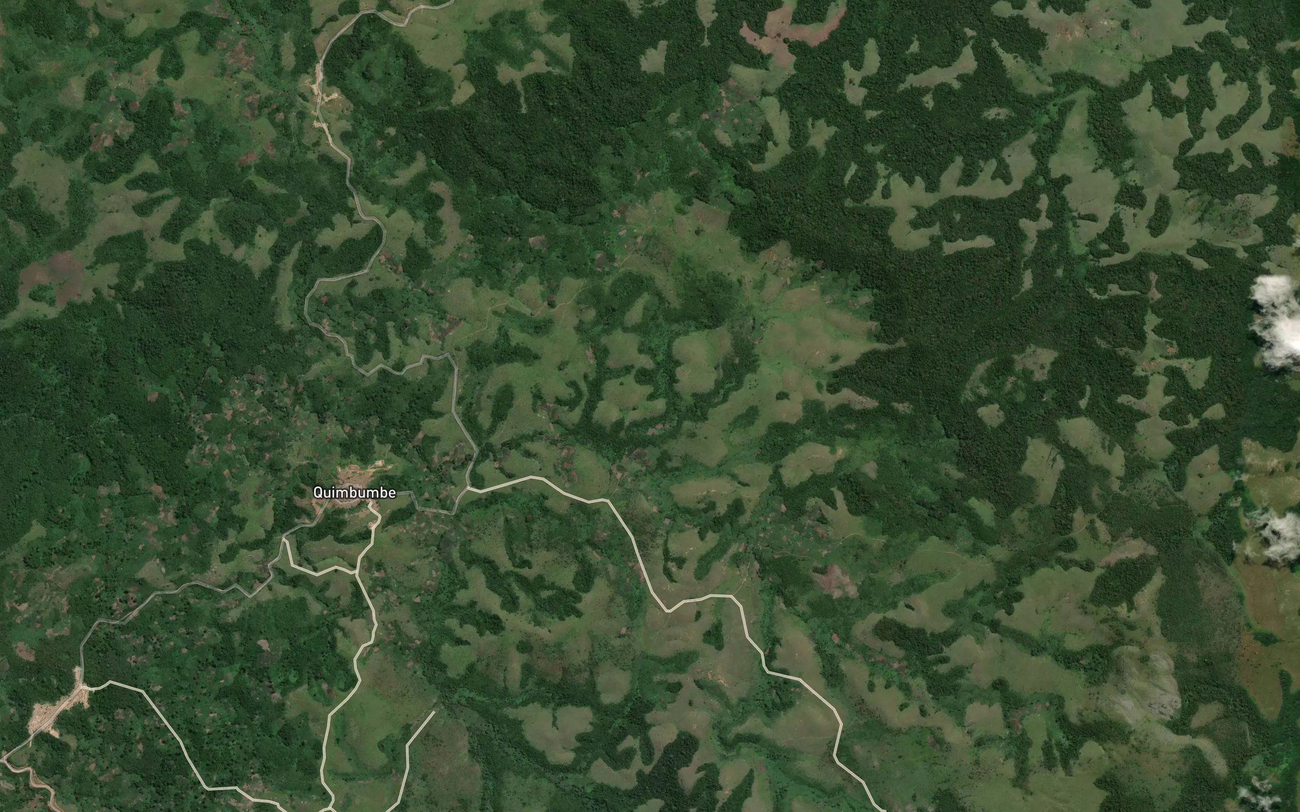 Bala
