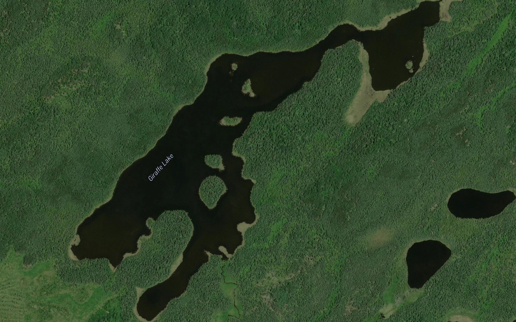 Satellite map of the Giraffe Lake