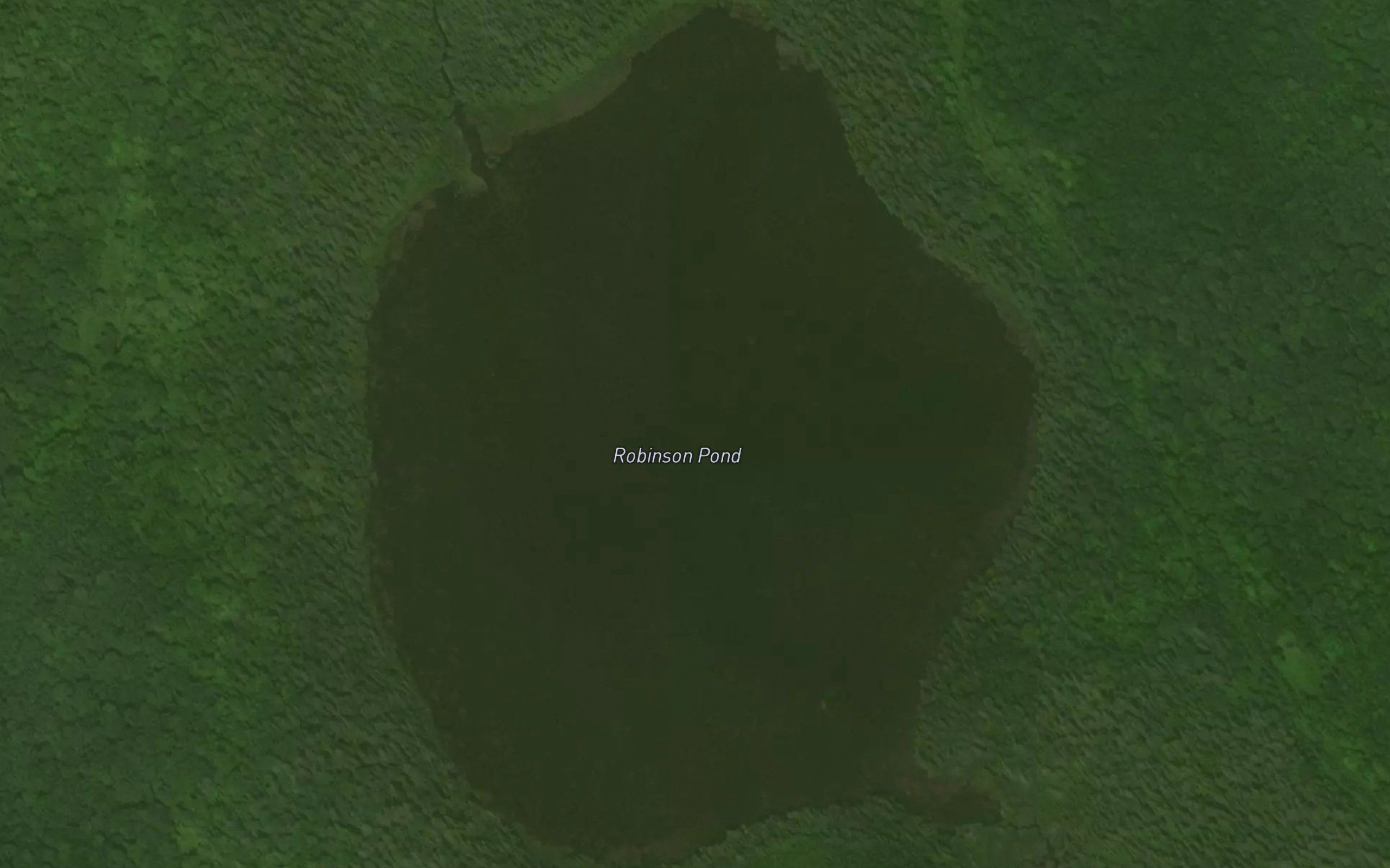 Robinson Pond