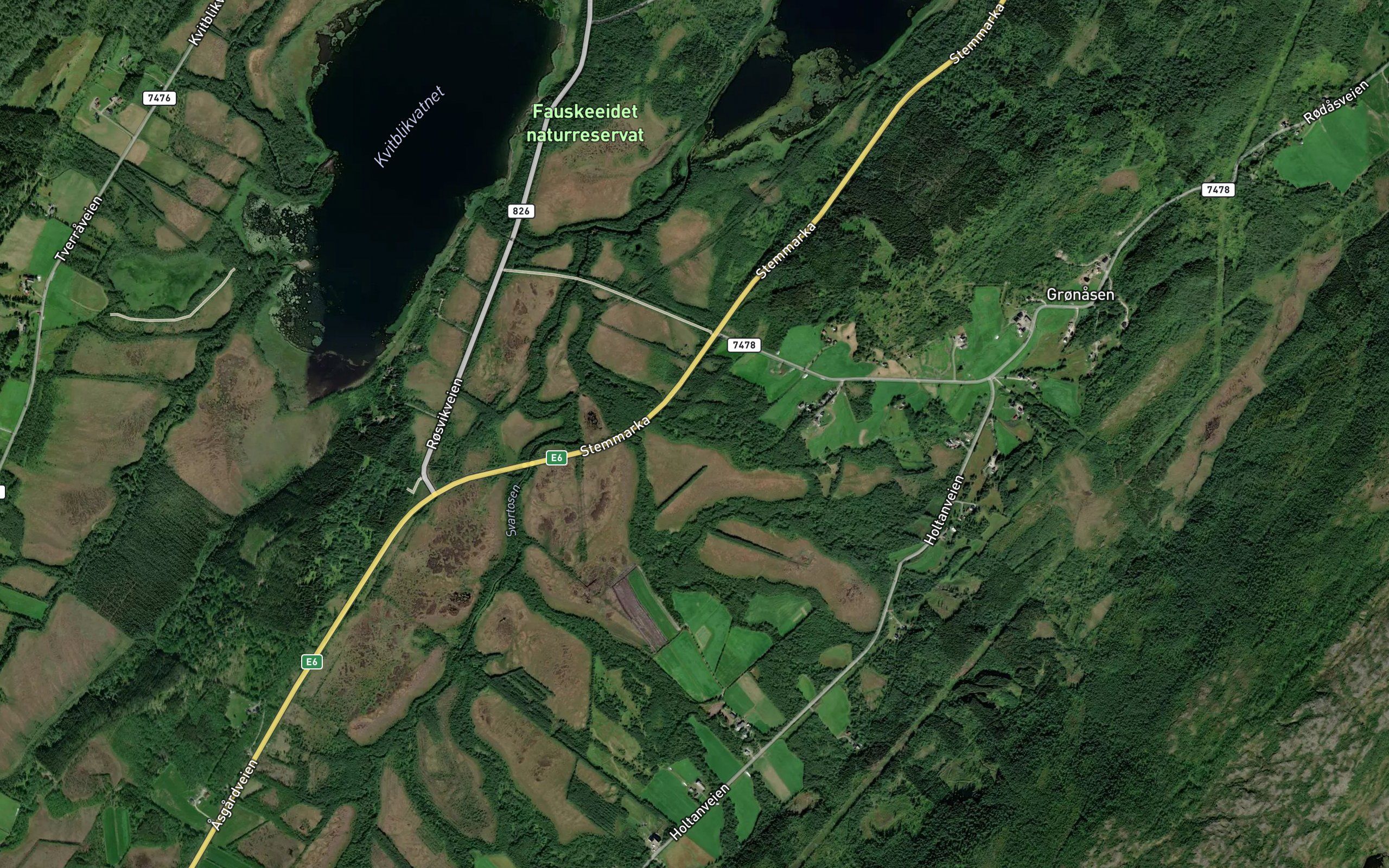 Dalosen
