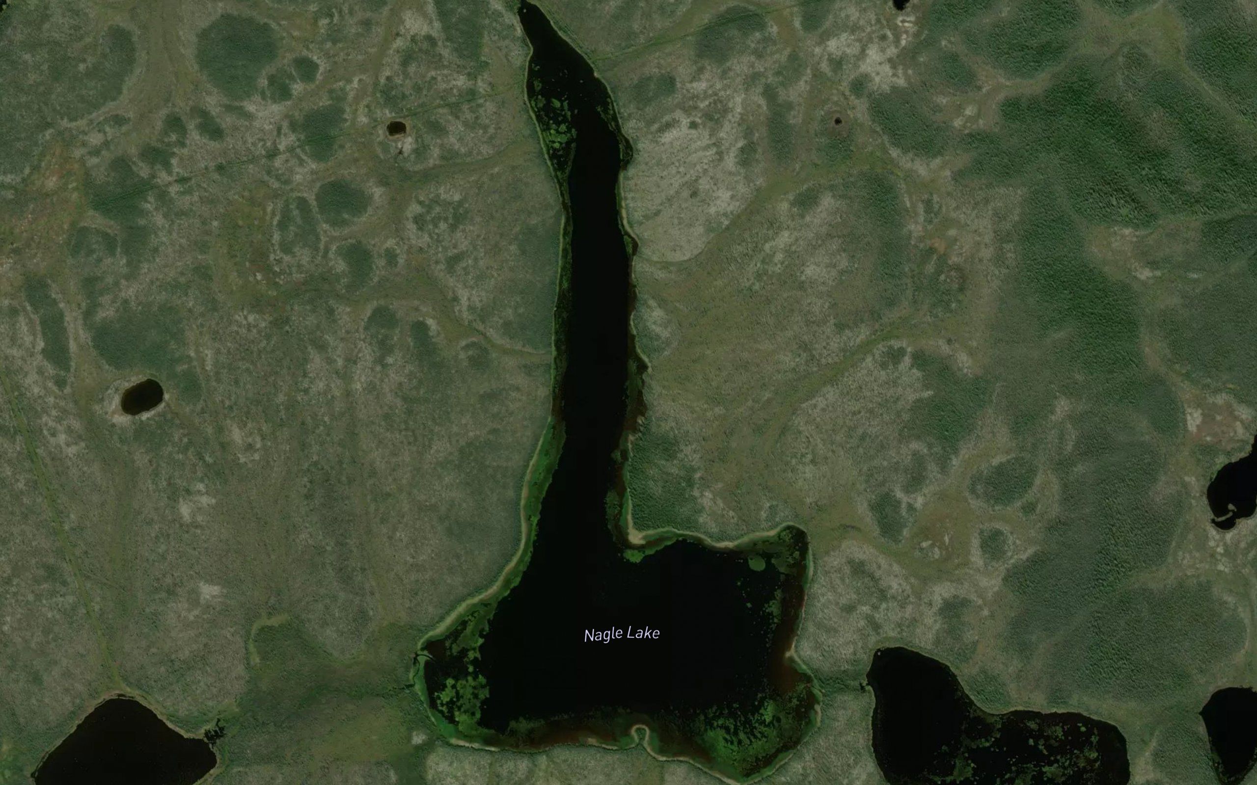 Nagle Lake